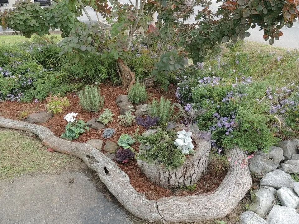 A landscaped garden bed containing various plants, flowers, and shrubs, with a large tree trunk forming a border around the bed, and rocks surrounding the edge of the garden.