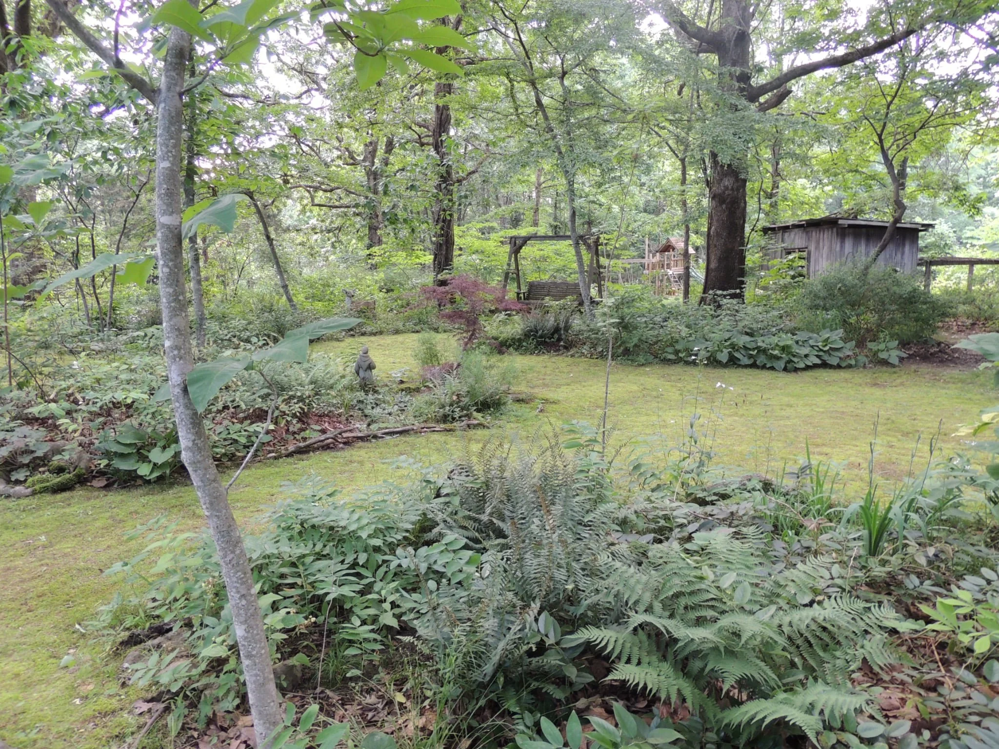 A lush backyard garden with a grassy lawn, various green plants, and trees. In the background, there are wooden structures, including a shed and a small playhouse with a slide. An old swing set is also visible among the trees.
