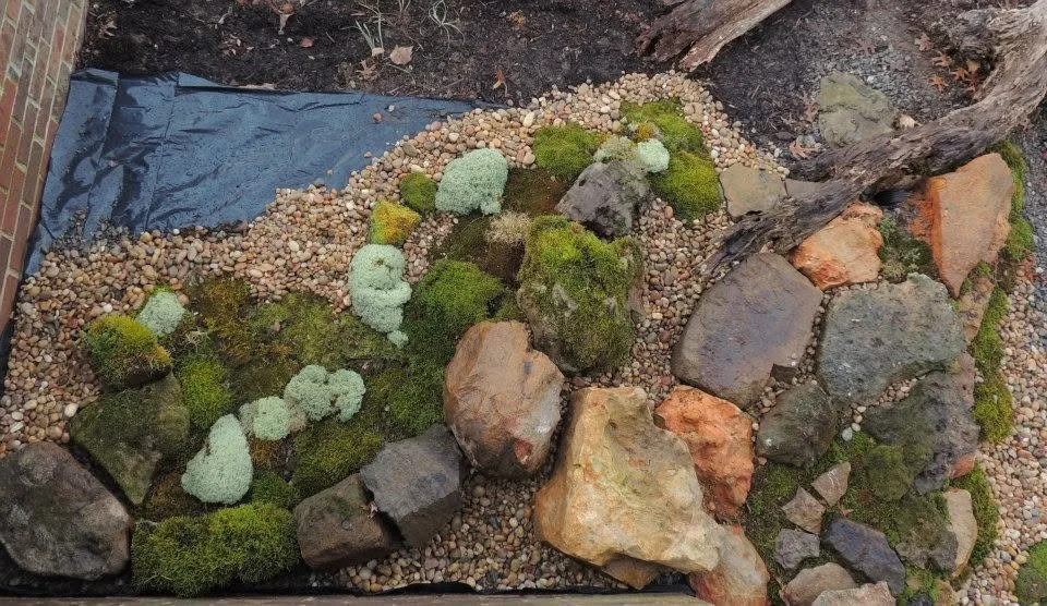 A garden rock and moss arrangement with various large rocks, moss, and small gravel on a black ground cover