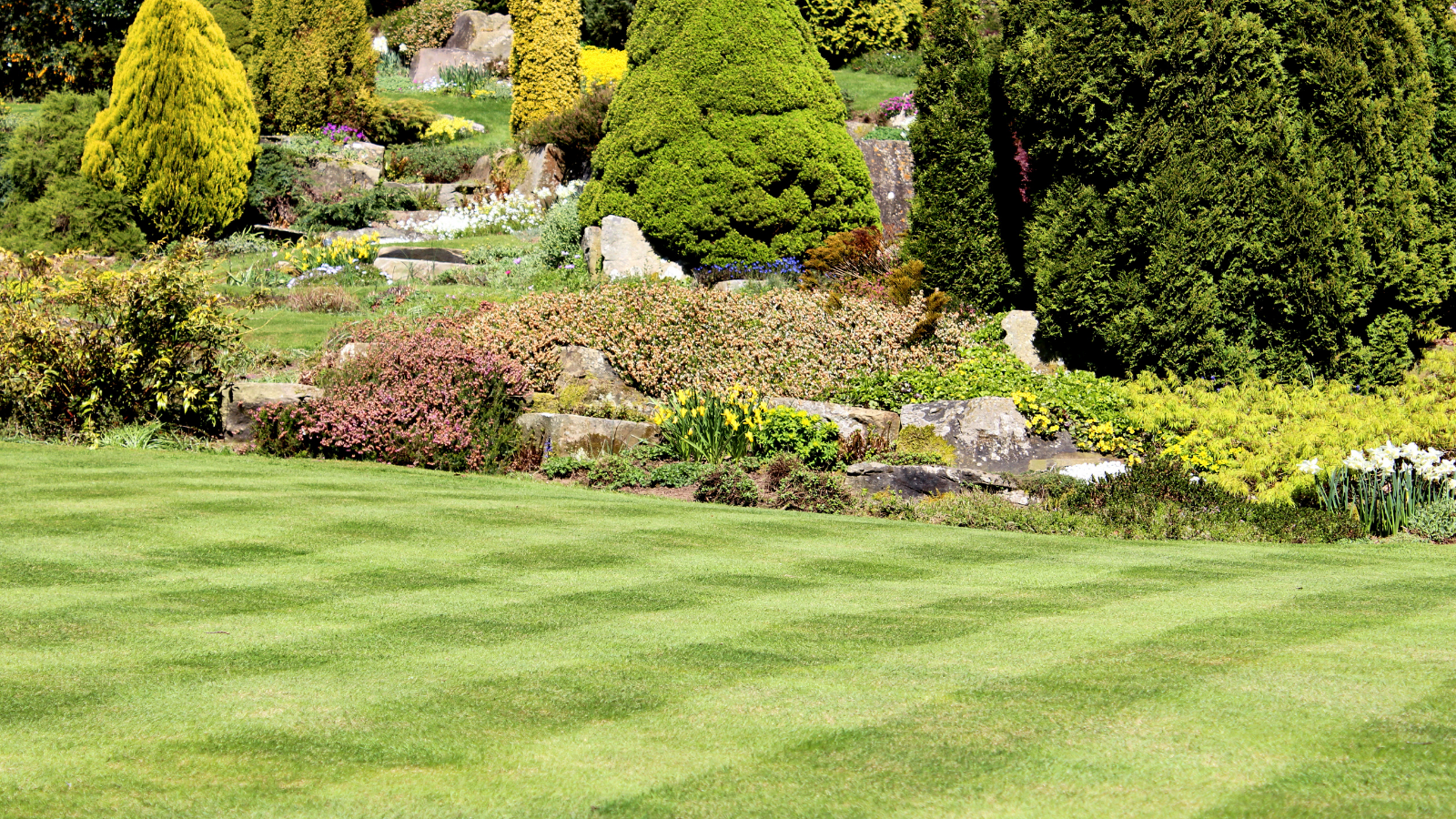 A colorful, well-maintained garden with lush green grass in the foreground and a variety of bushes, shrubs, and flowers in the background, including yellow, pink, and white blossoms.
