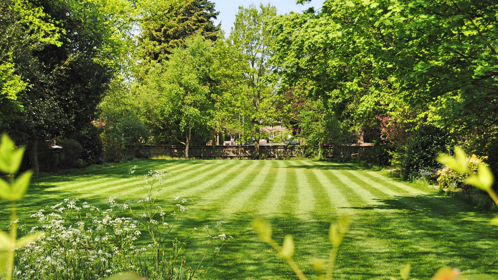 A lush, green, striped lawn surrounded by trees and shrubs with bright sunlight streaming through the leaves.