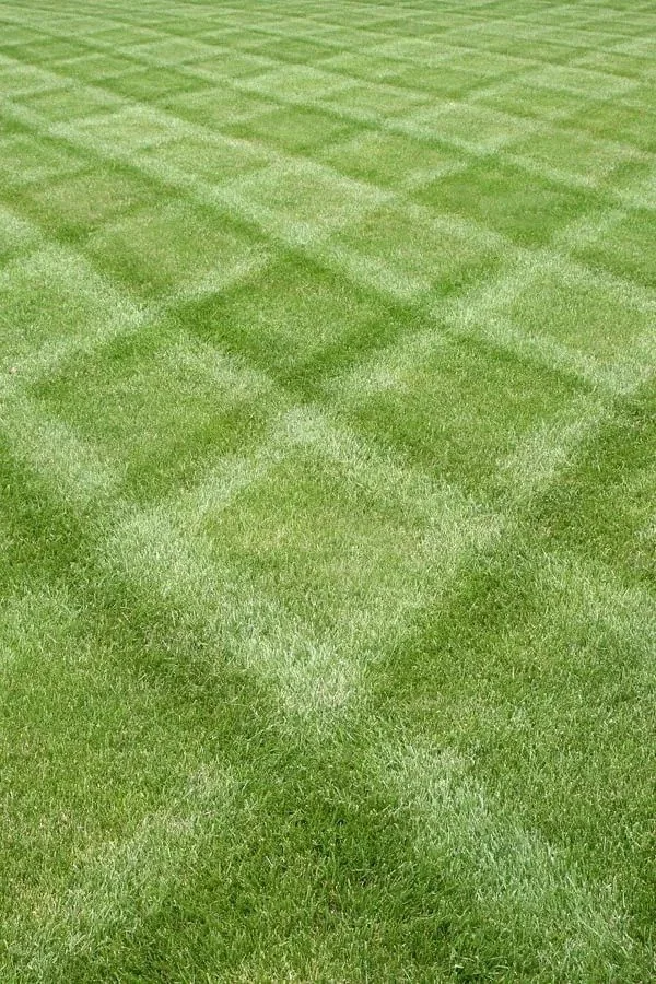 Close-up view of a perfectly maintained grassy lawn with visible mowing pattern.