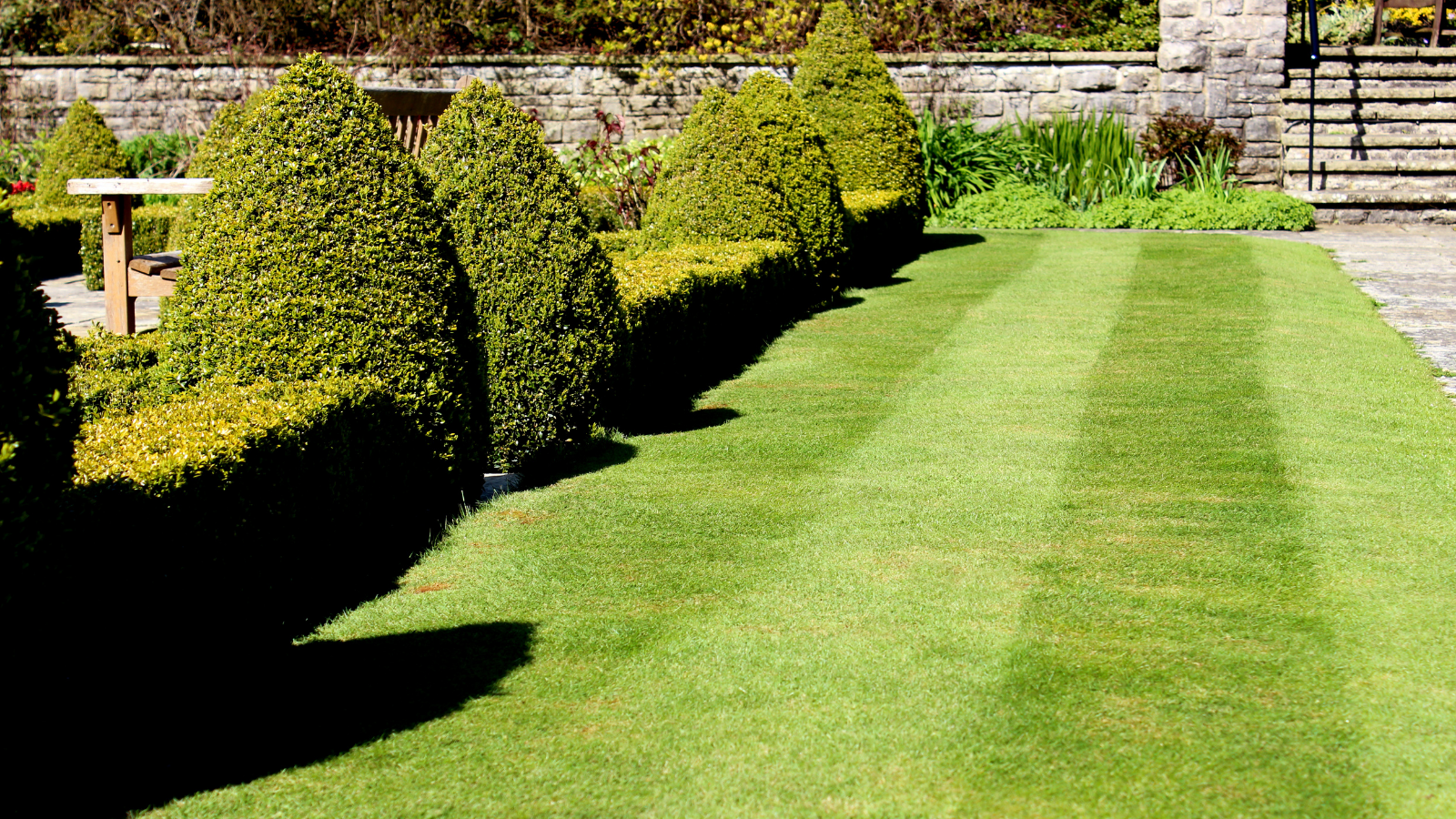 Well-maintained green lawn with striped grass, bordered by trimmed bushes and trees, and a stone wall in the background.