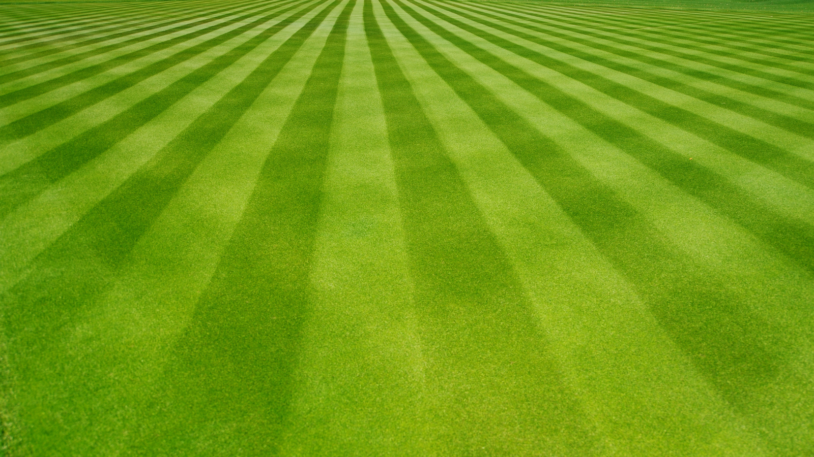 Close-up view of a football field with freshly mowed, alternating light and dark green stripes.