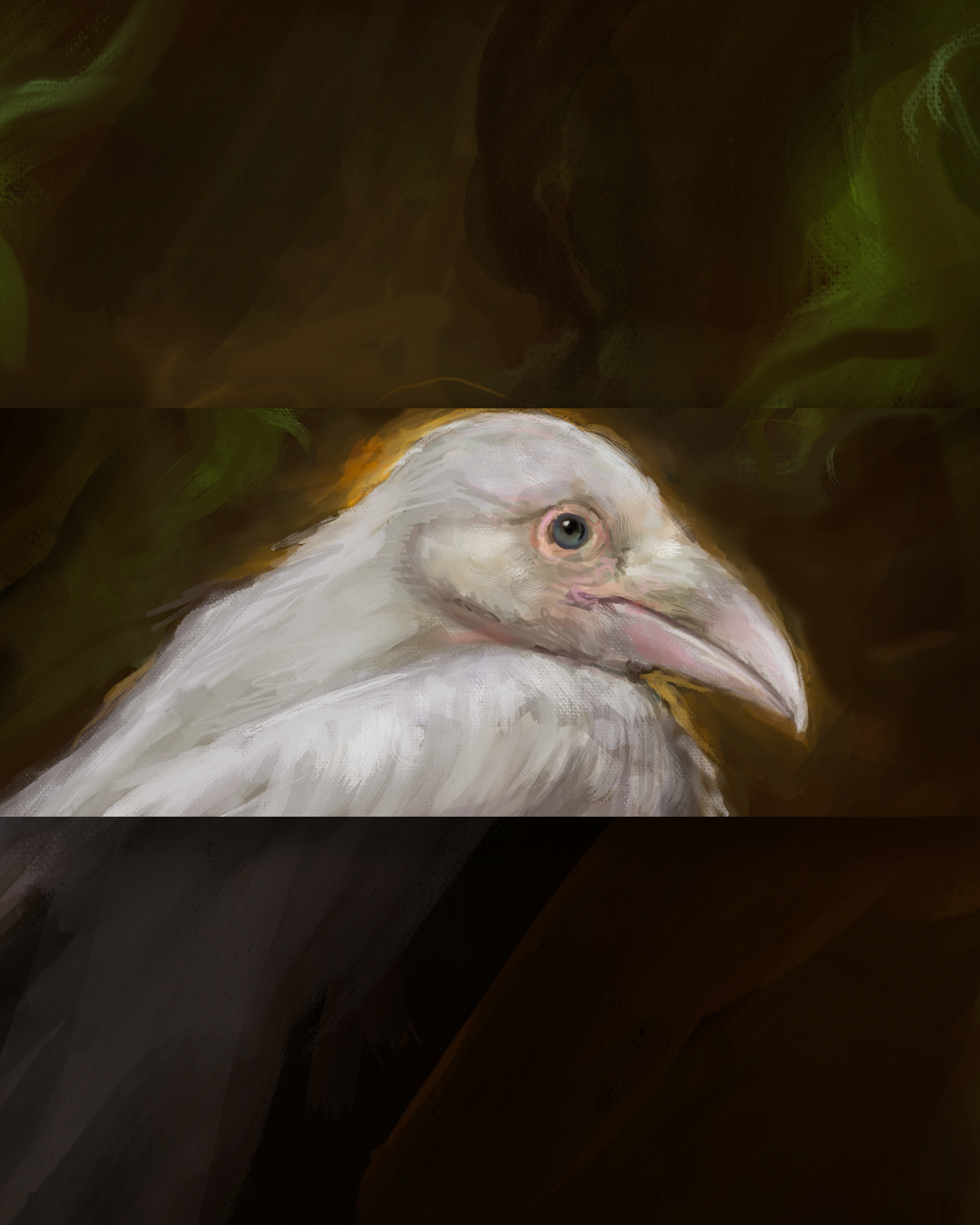 RAVEN-PRODUCT-DETAILS_.png