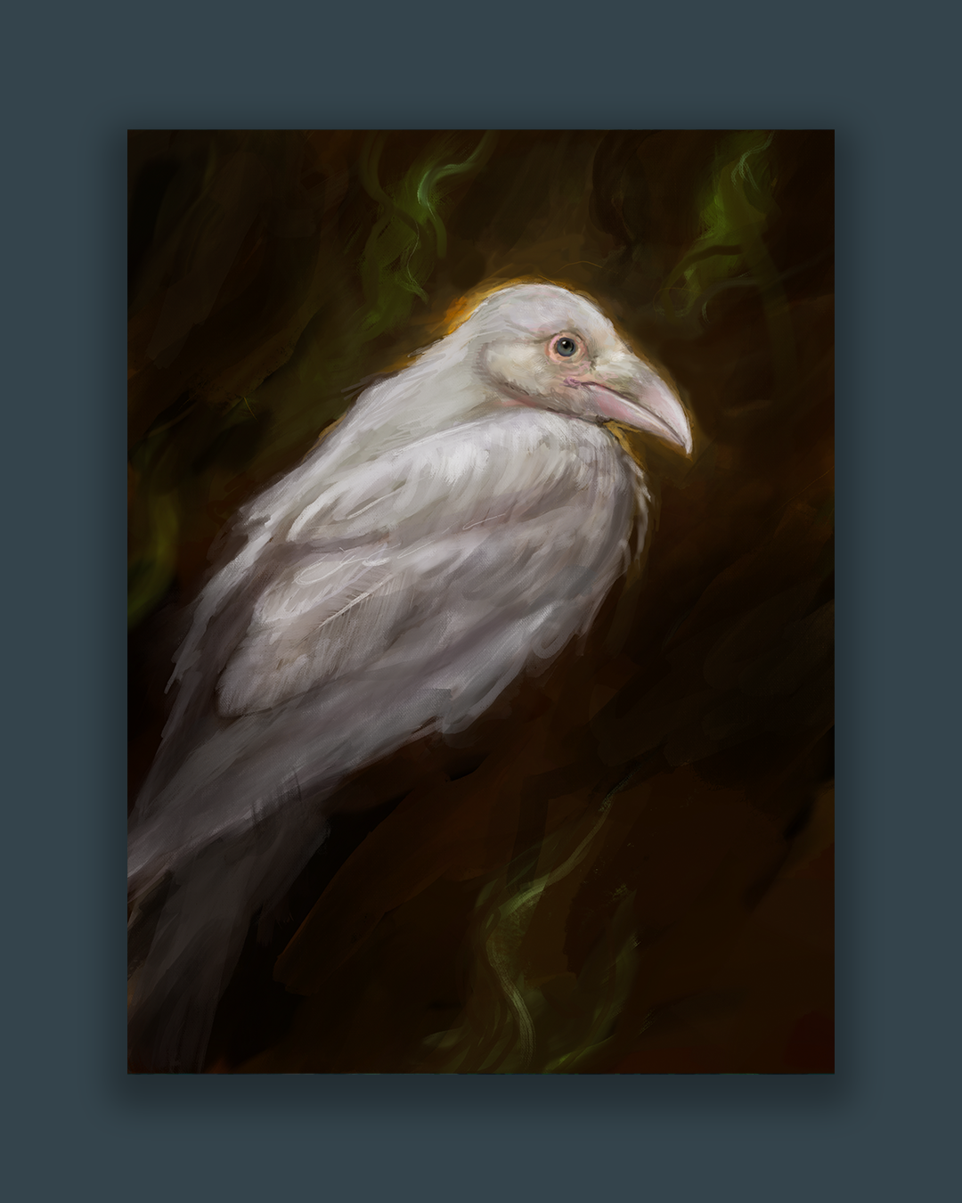 RAVEN-PRODUCT-HERO-DARK.png