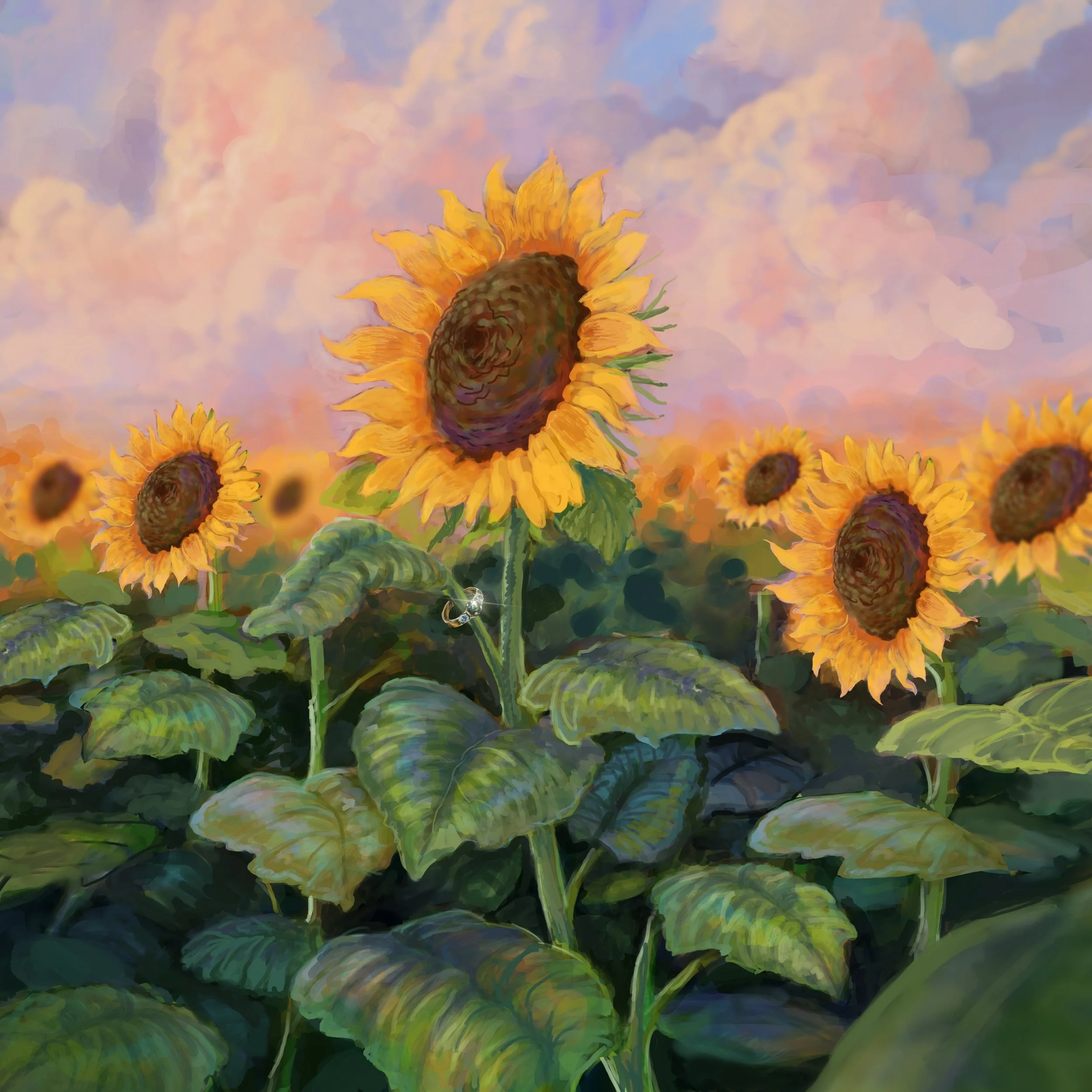 My_Sunflower_.jpg