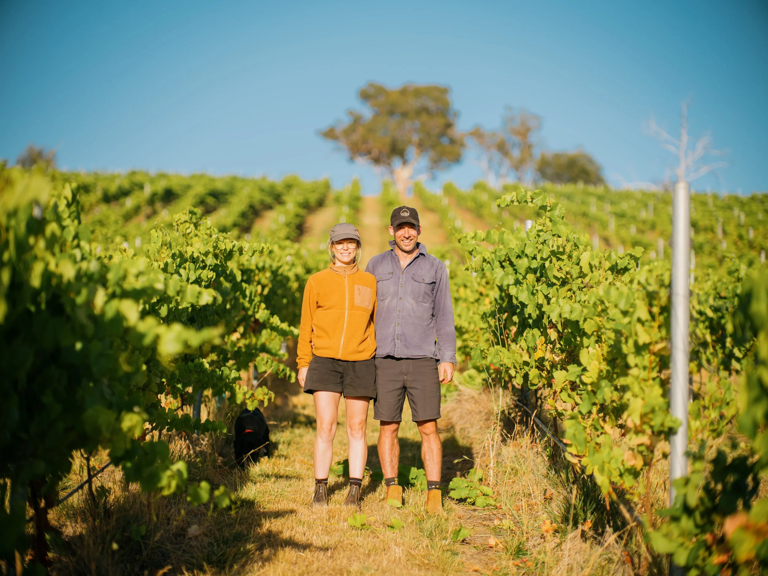 The owners, Sara and Paul, standing in the vineyard on a sunny day with green vines on either side and a large tree in the background.