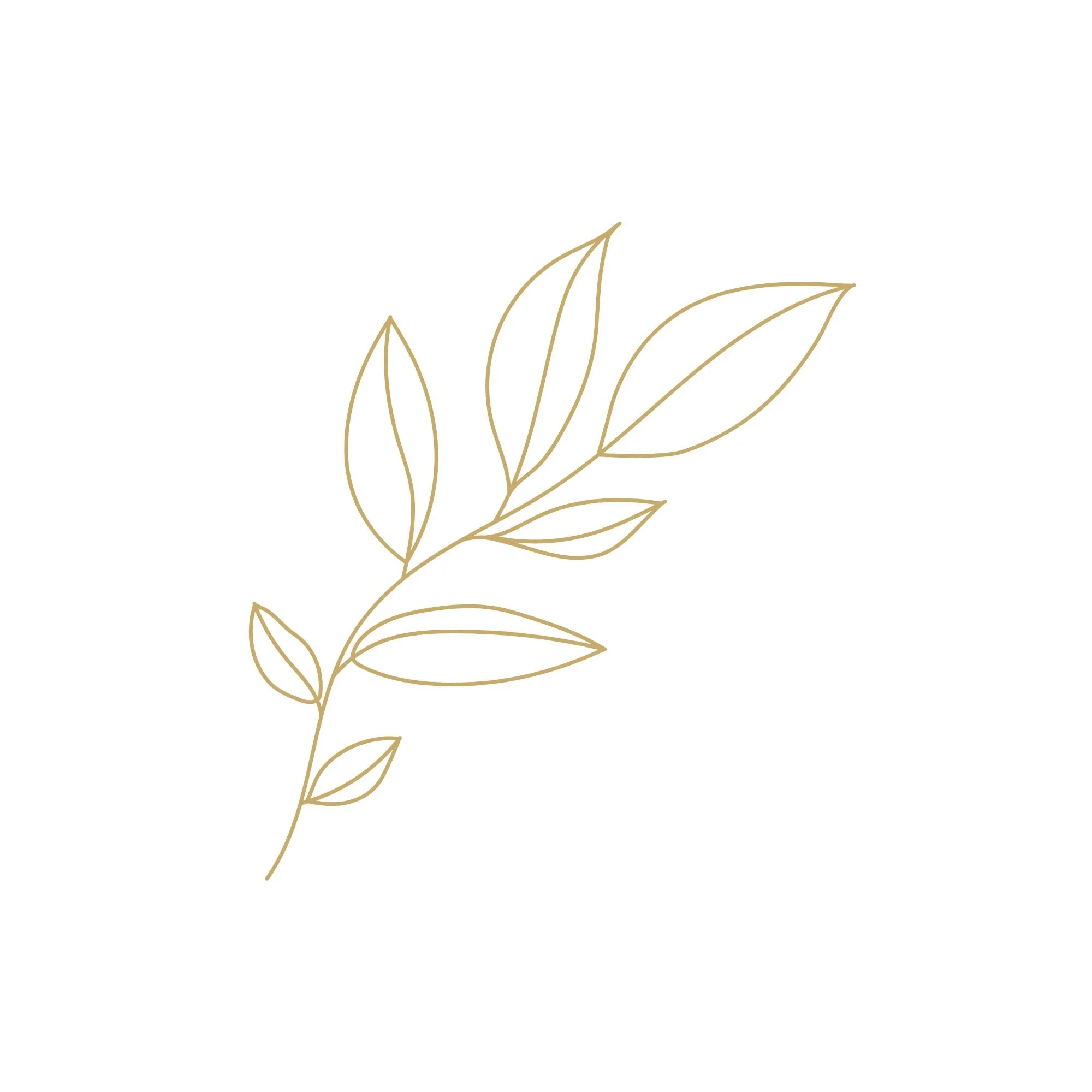 Minimalist gold line drawing of a leafy plant on a white background.
