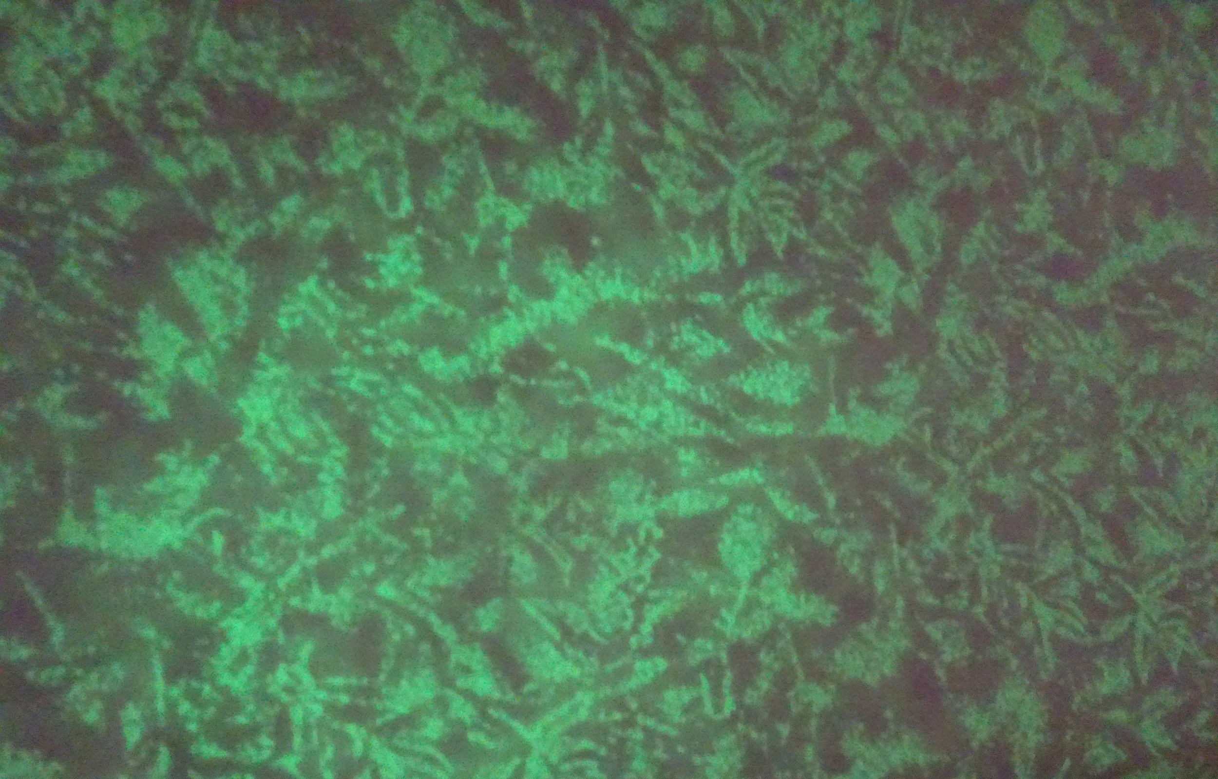 FF - Glow (Glows in the Dark)