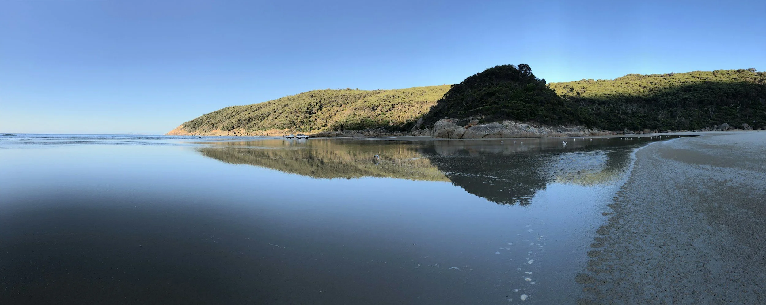 Wilsons Promontory: Full-Day Private Nature Tour