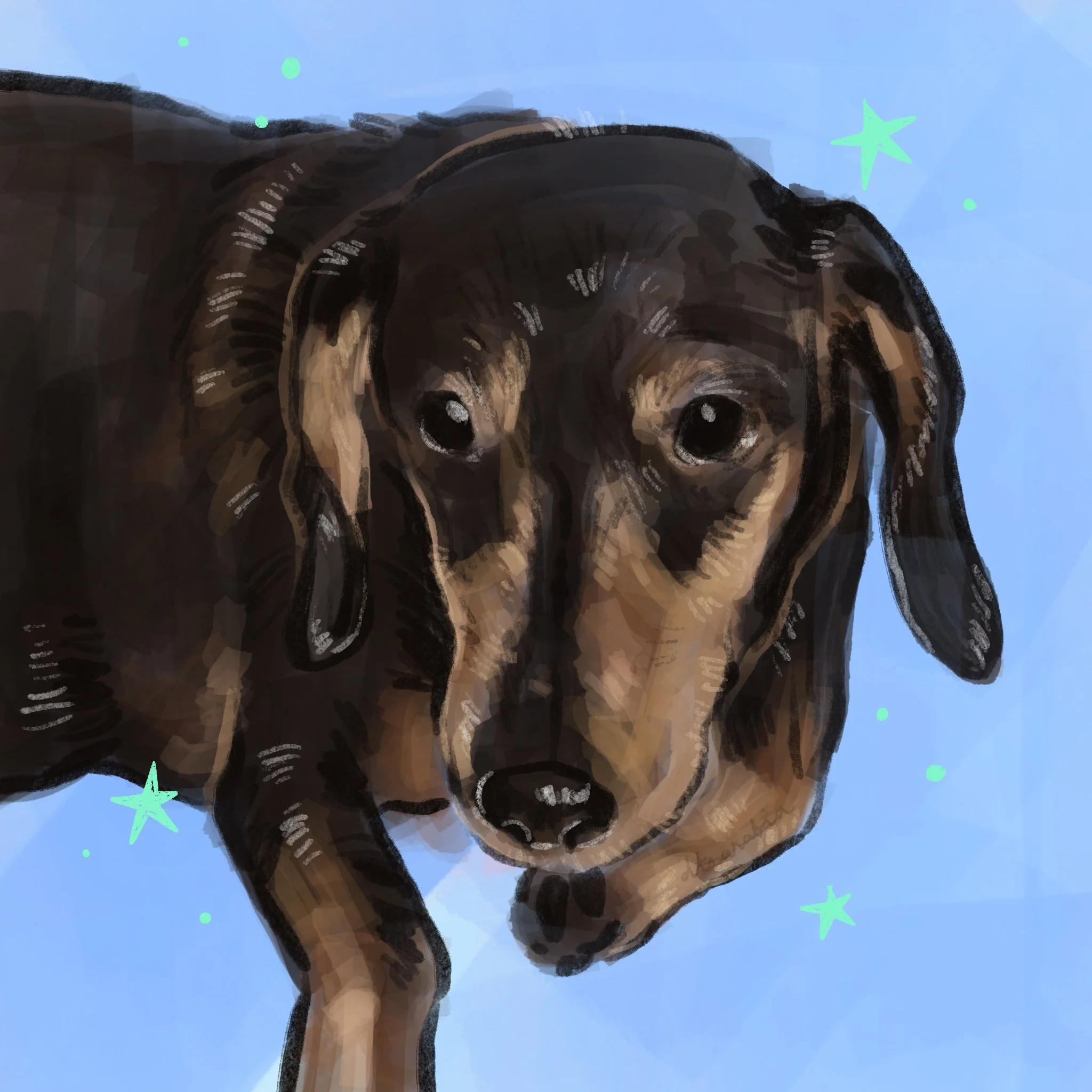 Dani.jpg