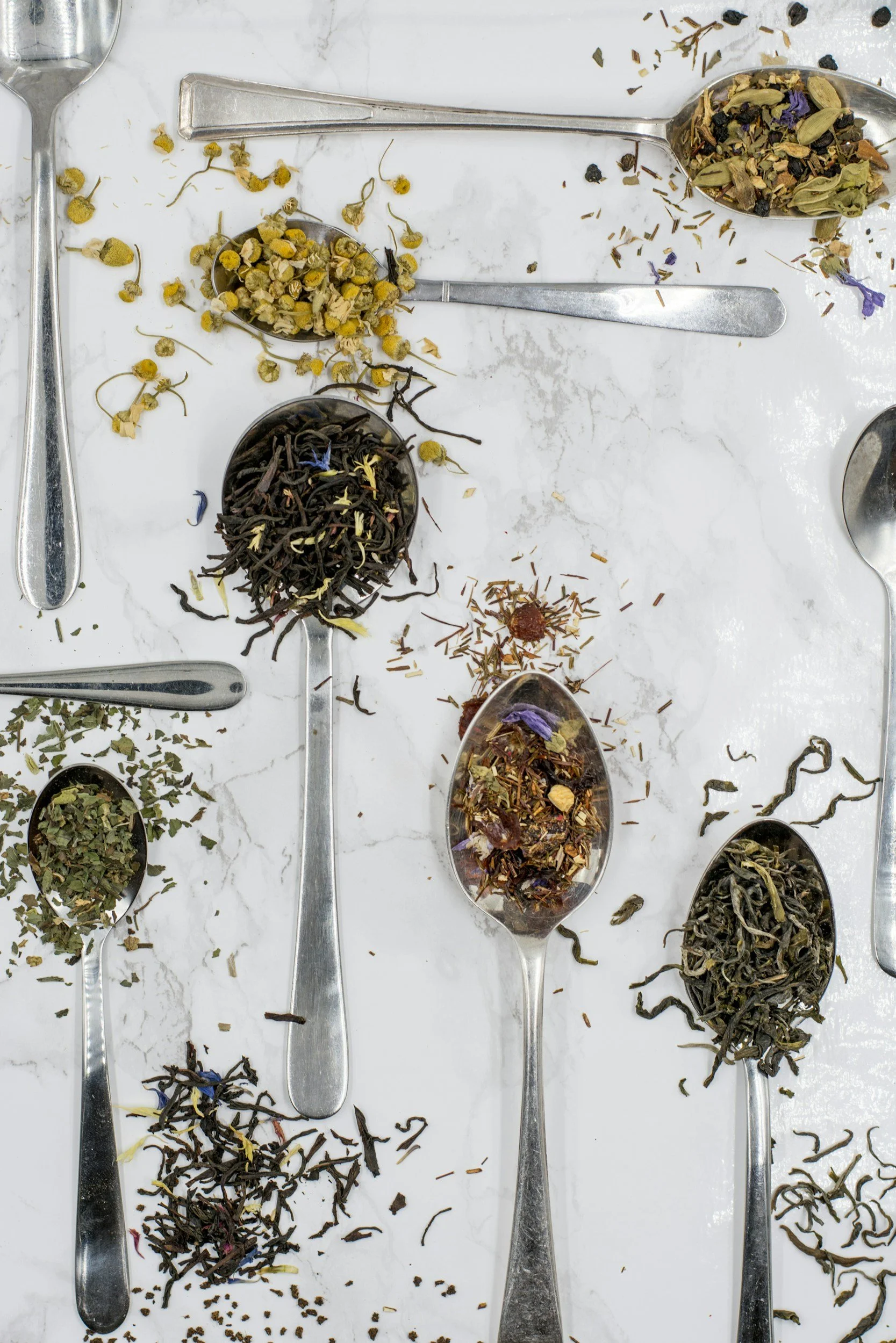 Various dried herbs and flowers in metal spoons on a white marble surface, some herbs spilled around.
