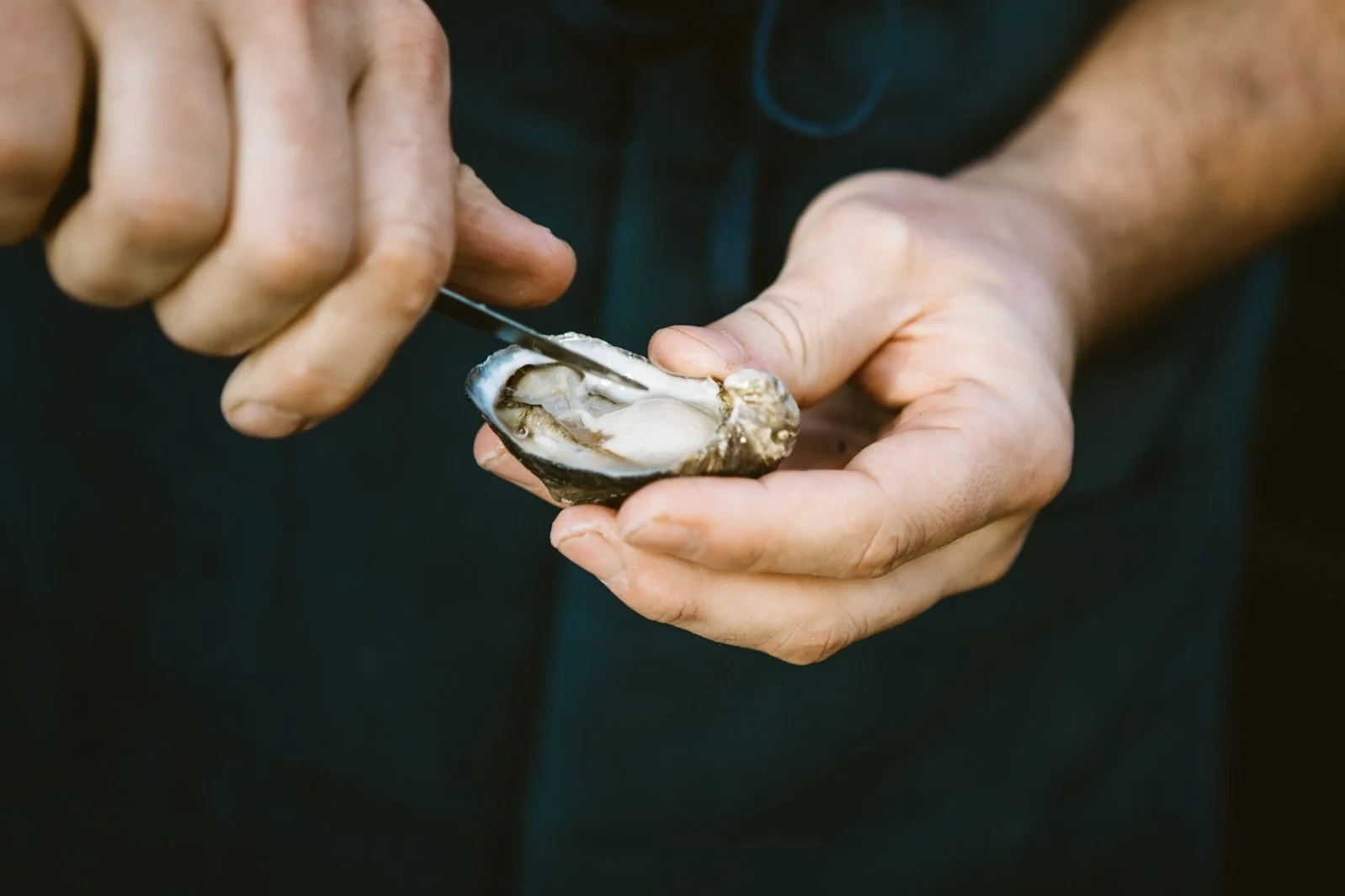 CherylJuettenPhoto-FieldDay-BlockhouseWedding-Oct-2019-0050.jpg