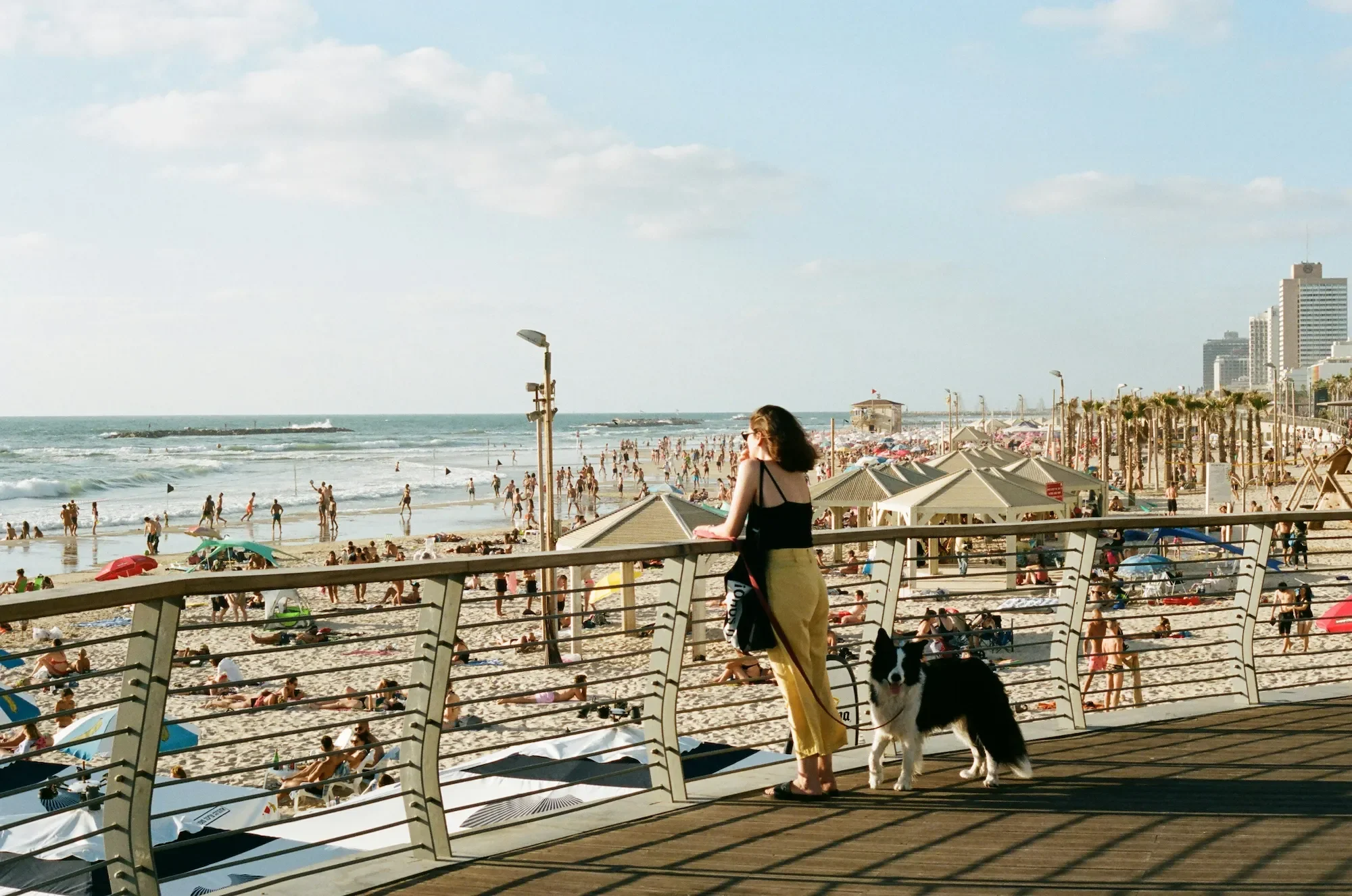 A woman with a dog by the railing overlooking a crowded beach with umbrellas, people walking and swimming, and high-rise buildings in the background on a sunny day.
