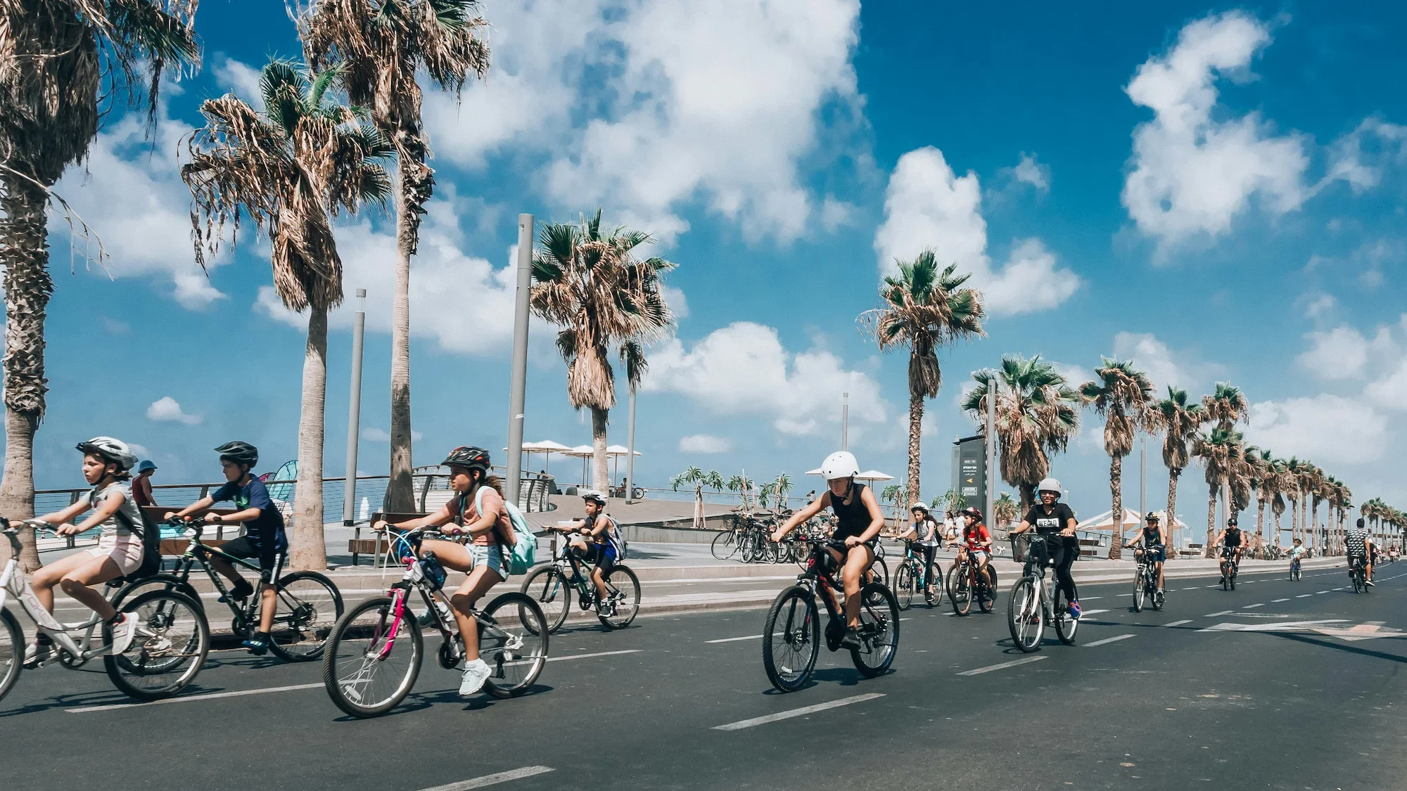 Group of children and adults cycling along a coastal palm-lined promenade in Tel Aviv, Israel, reflecting the local life of Holyland Horizons guides
