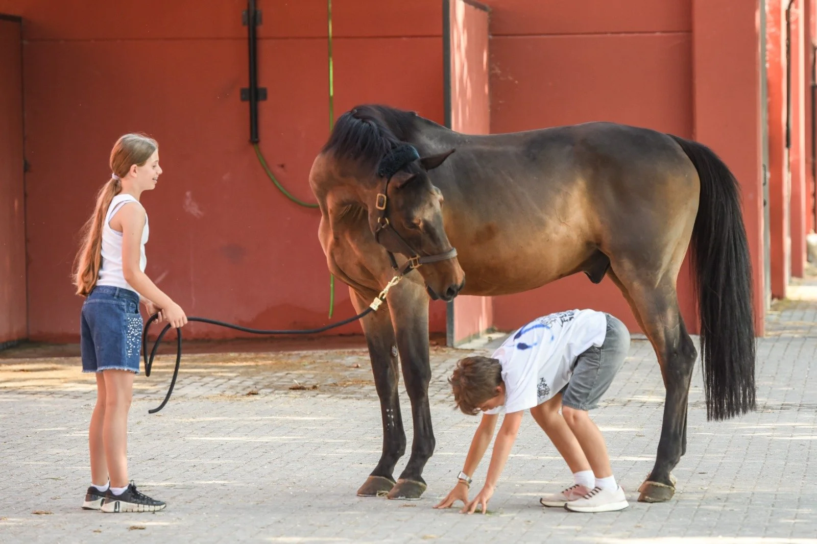 Due bambini giocano con un cavallo, uno dei bambini si inginocchia vicino  al cavallo mentre l'altro tiene il cavallo per la cavezza, in uno spazio aperto con pareti di colore rosso.