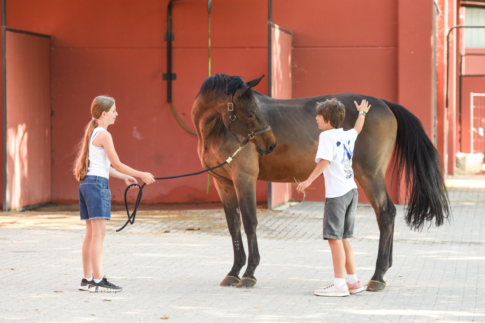 Due bambini, un ragazzo e una ragazza, stanno interagendo con un cavallo in un cortile. La ragazza tiene il cavallo con la corda, mentre il ragazzo lo accarezza sulla schiena.