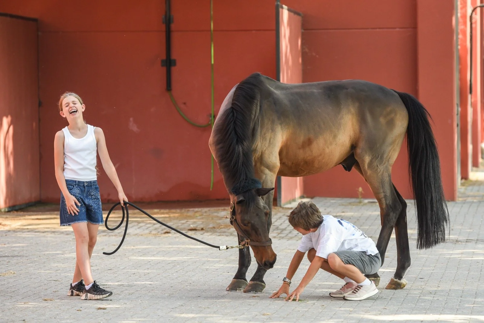 Due bambini e una ragazza con un cavallo in un cortile
