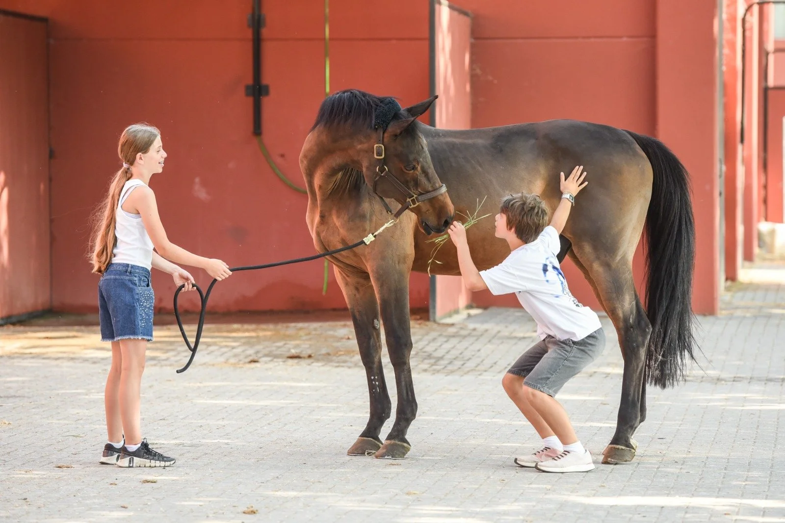 Due bambini, un ragazzo e una ragazza, stanno giocando con un cavallo in un cortile. La ragazza tiene la corda  mentre il ragazzo dà un pugno di erba al cavallo.