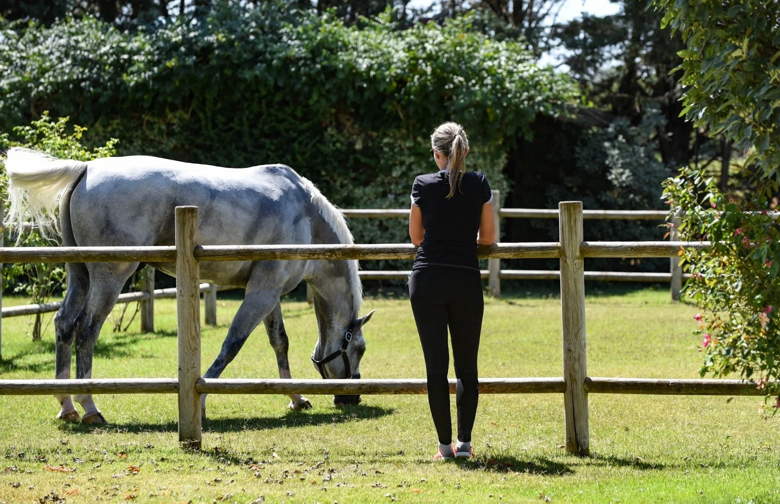 Donna che osserva un cavallo bianco al recinto in un'area verde con alberi e arbusti