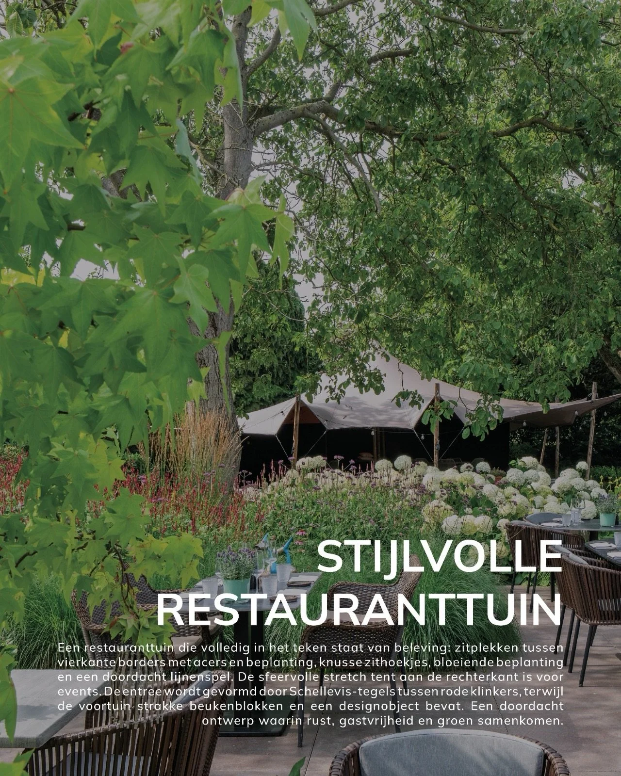 Stijlvolle restauranttuin

Een restauranttuin die volledig in het teken staat van beleving: zitplekken tussen vierkante borders met acers en beplanting, knusse zithoekjes, bloeiende beplanting en een doordacht lijnenspel. De sfeervolle stretch tent a
