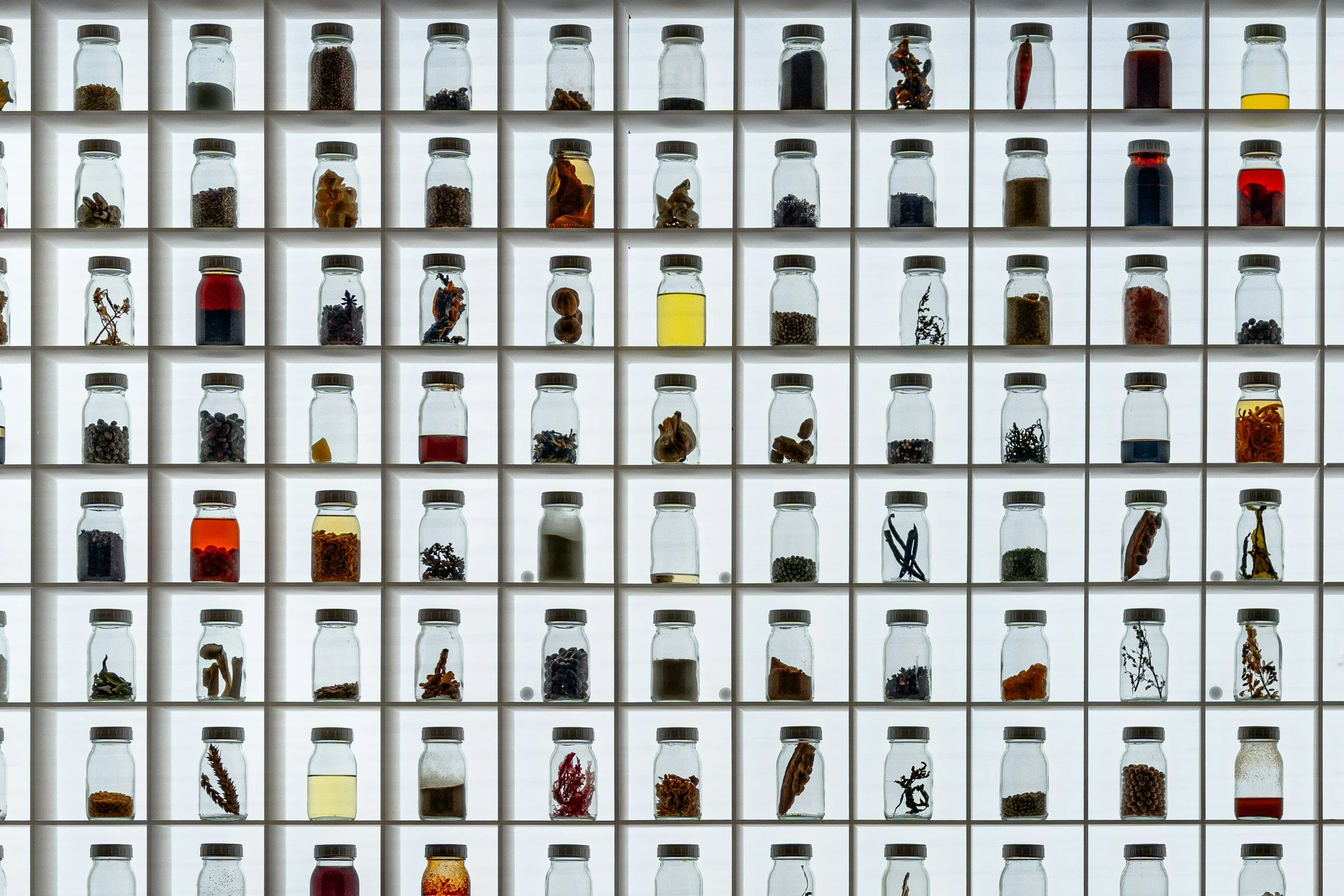A wall of 48 small glass jars with black lids, filled with various dried herbs, spices, and botanical specimens, arranged in a grid pattern with backlighting.