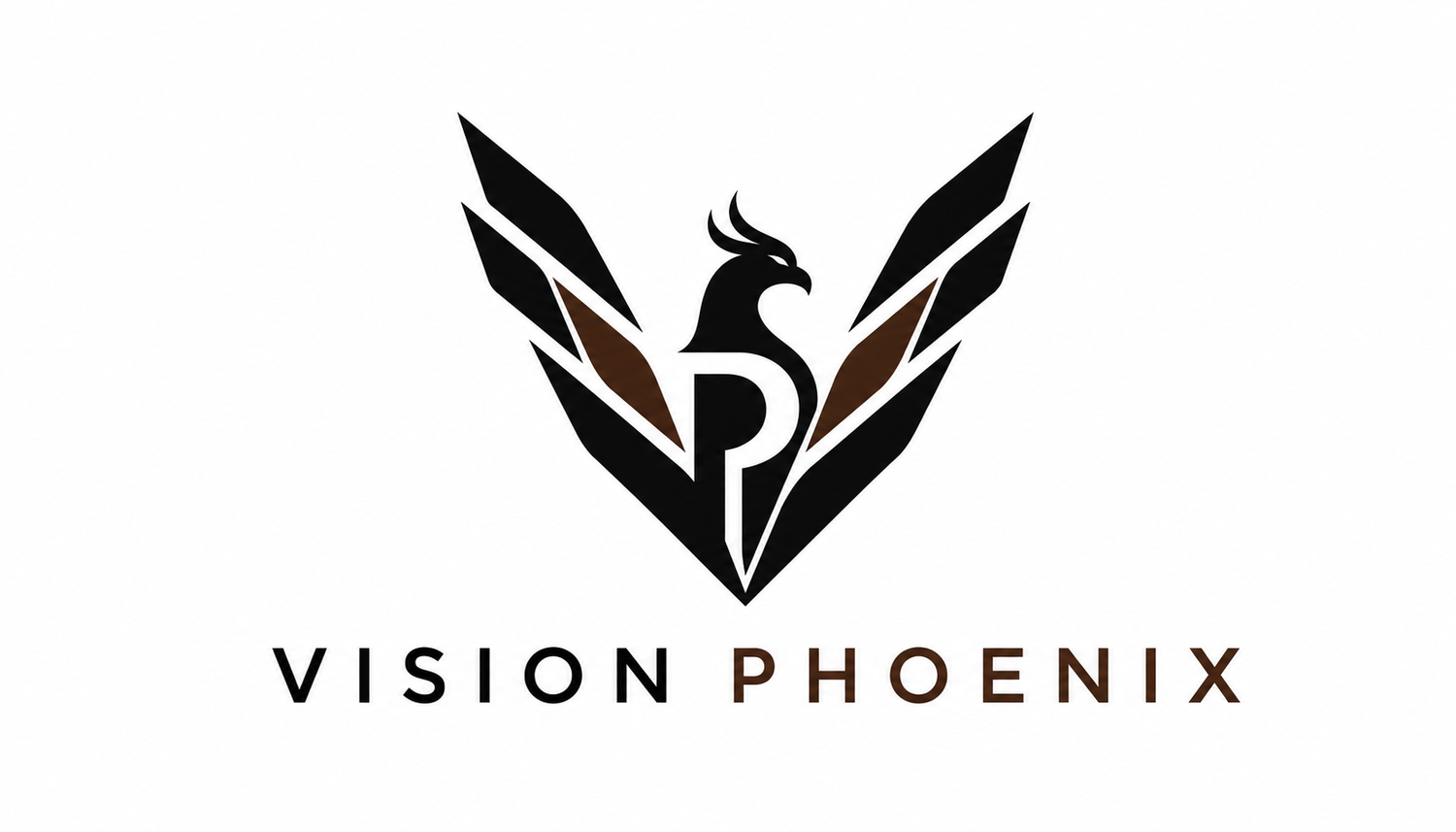 VISION PHOENIX
