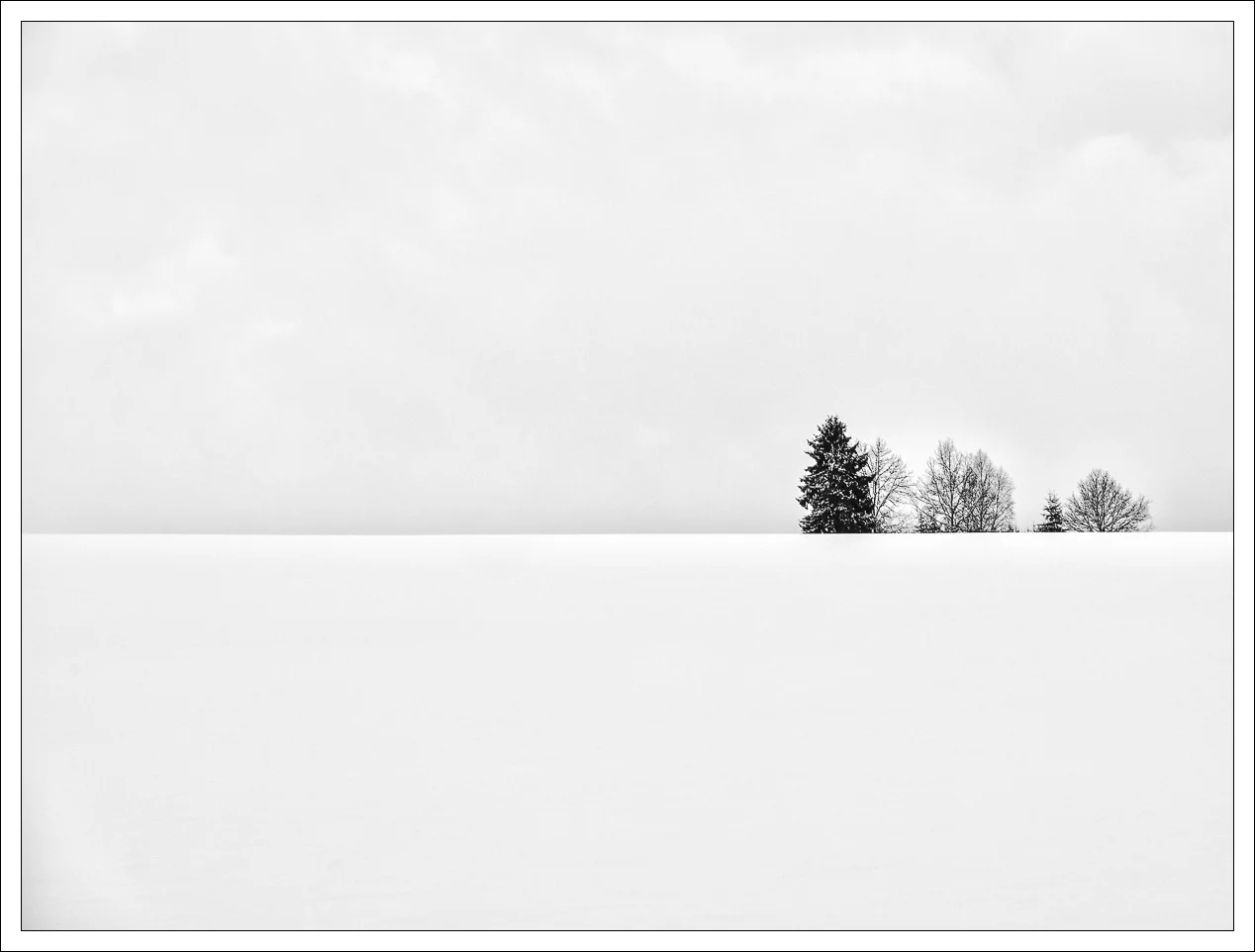 Not alone 