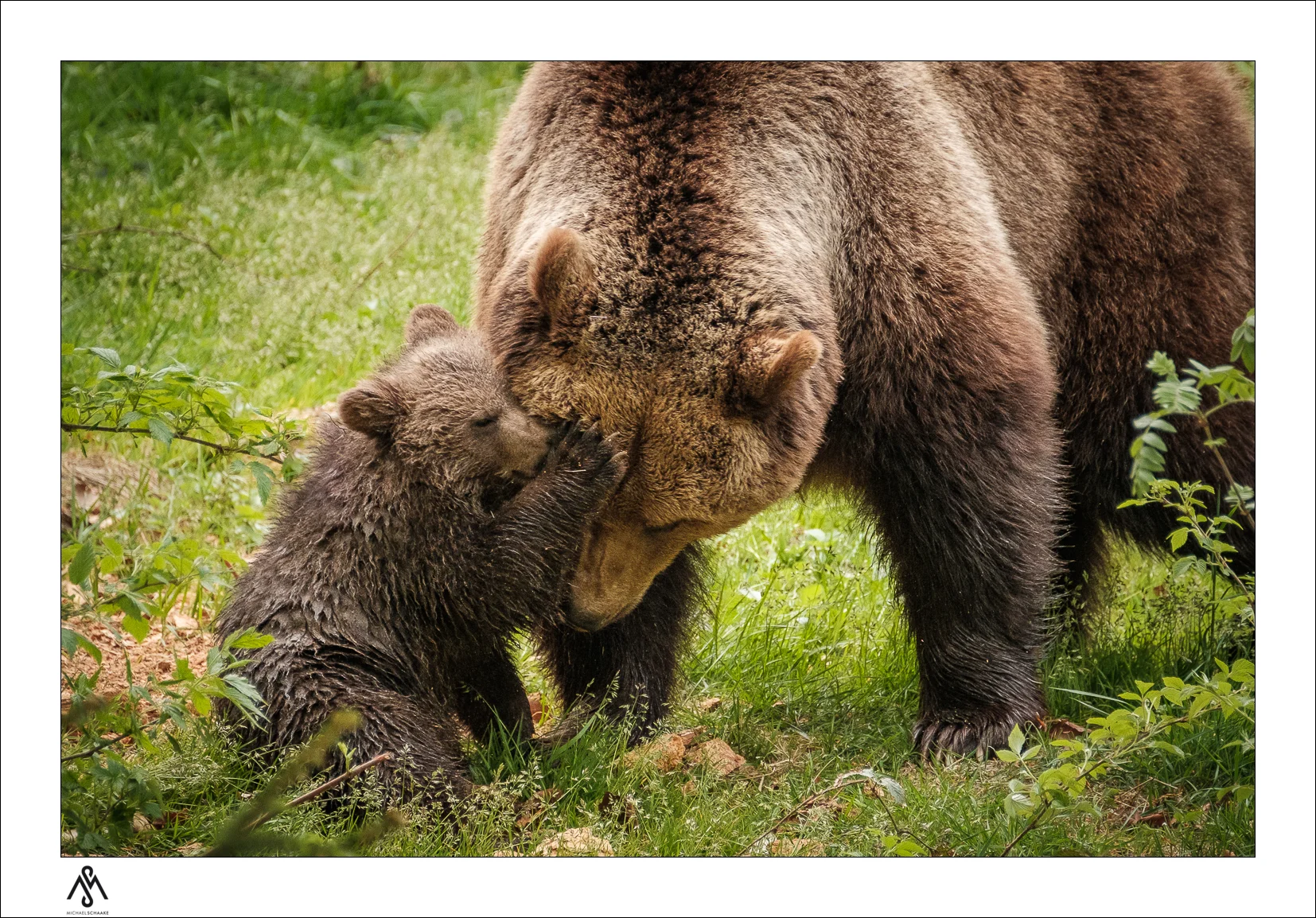 Familie ist alles!