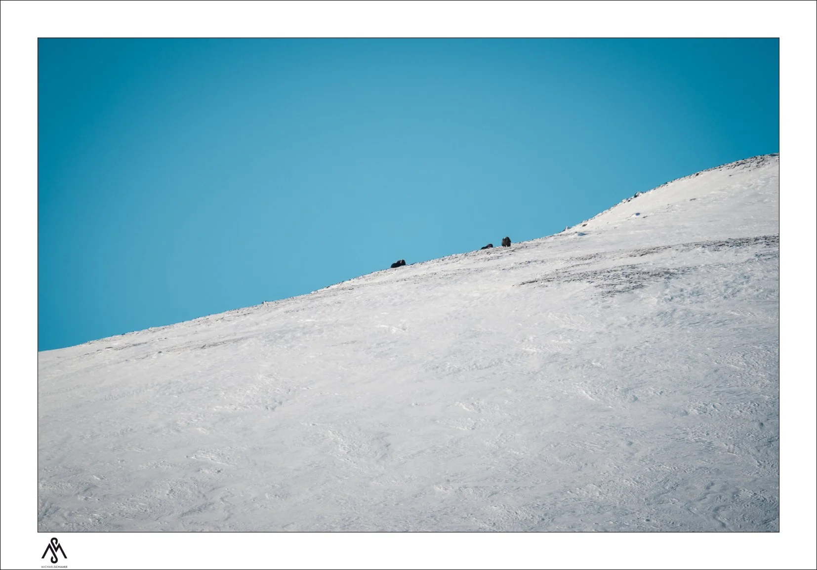 Photo taken at 400mm + 1.4 TC x crop factor = 840mm equivalent