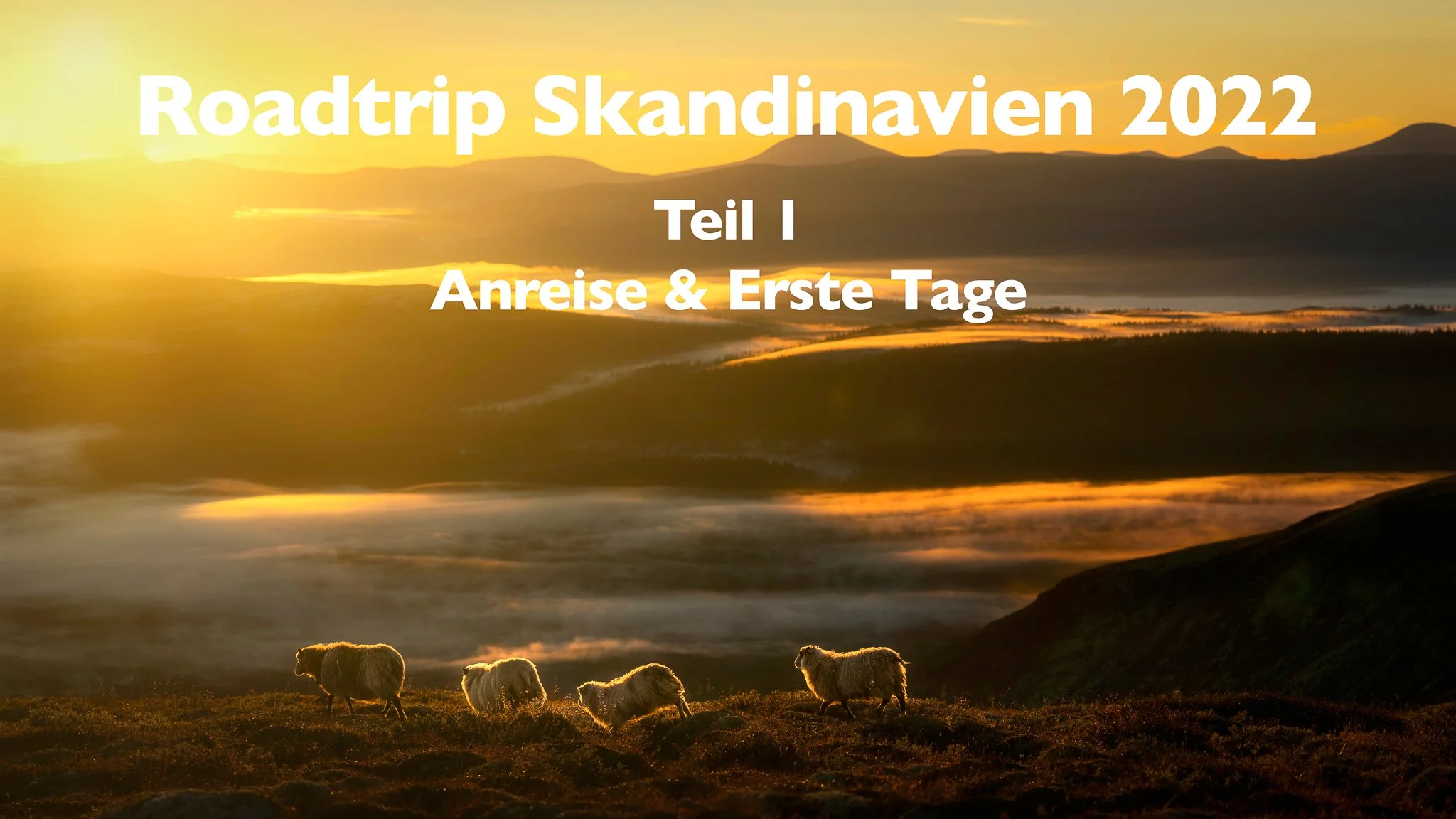 Roadtrip Skandinavien 2022 | Neuer Van auf MAN TGE | Anreise | Die ersten Tage