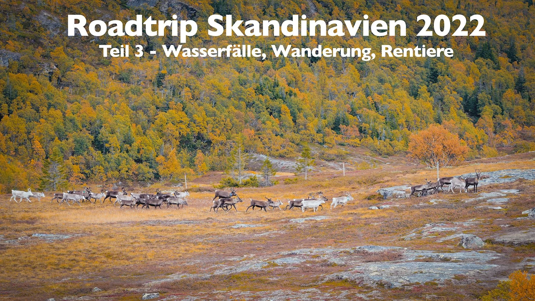 Roadtrip Skandinavien 2022 | Wasserfälle, Wanderung, Rentiere | Teil 3