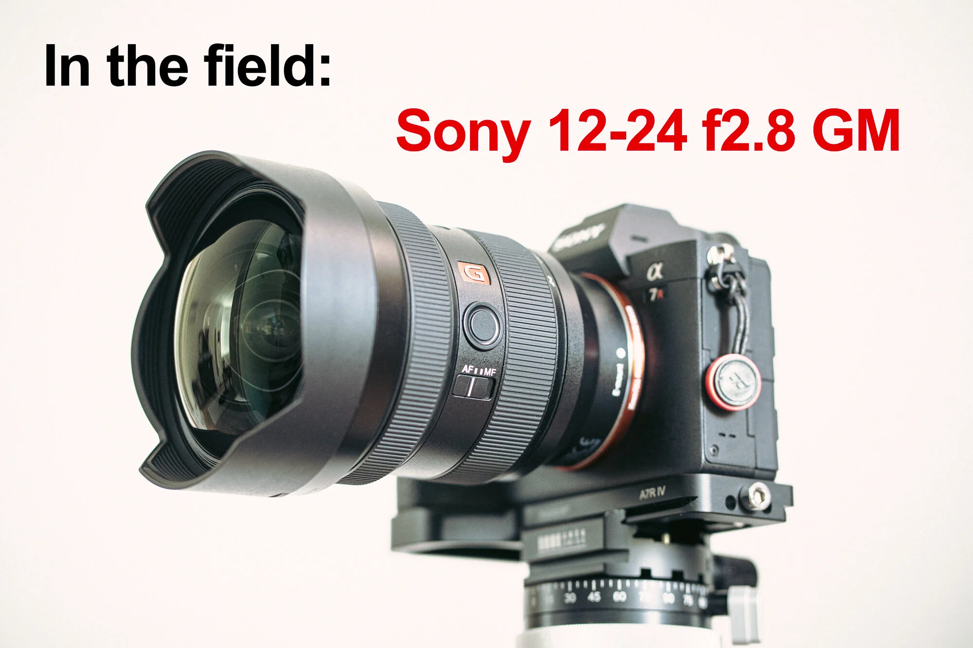 In the field | Sony 12-24mm f2.8 GM lens