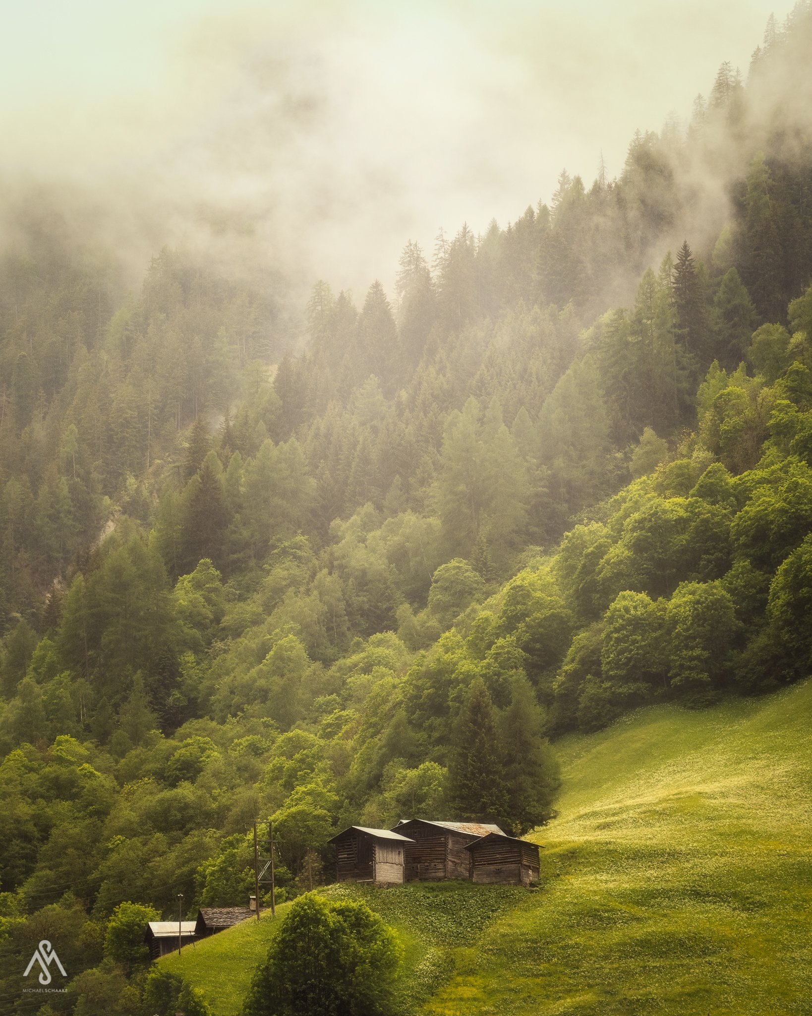 Friday-Photo #13