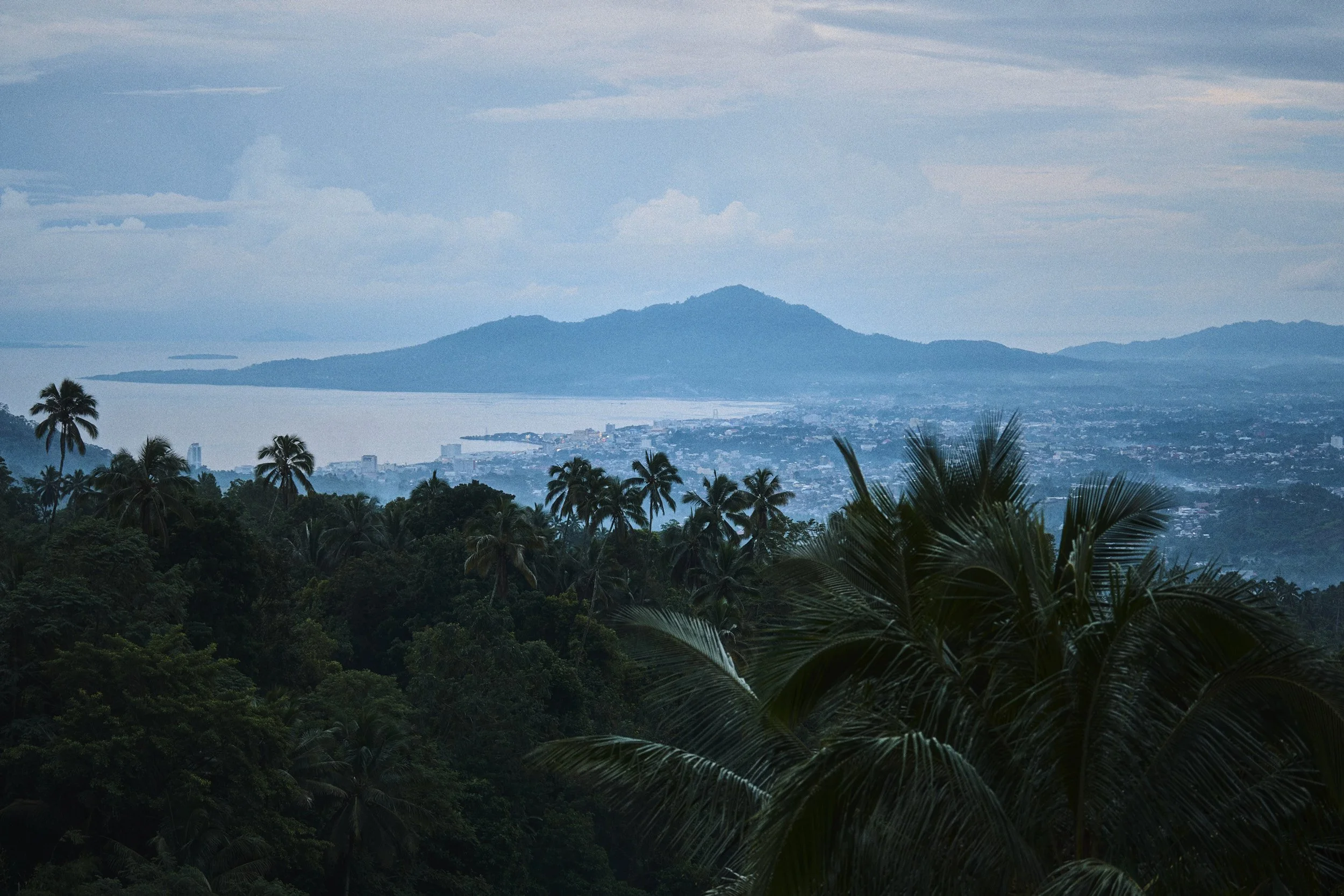 A scenic view of tropical trees, including palm trees, with a blue body of water and mountains in the background on a cloudy day.