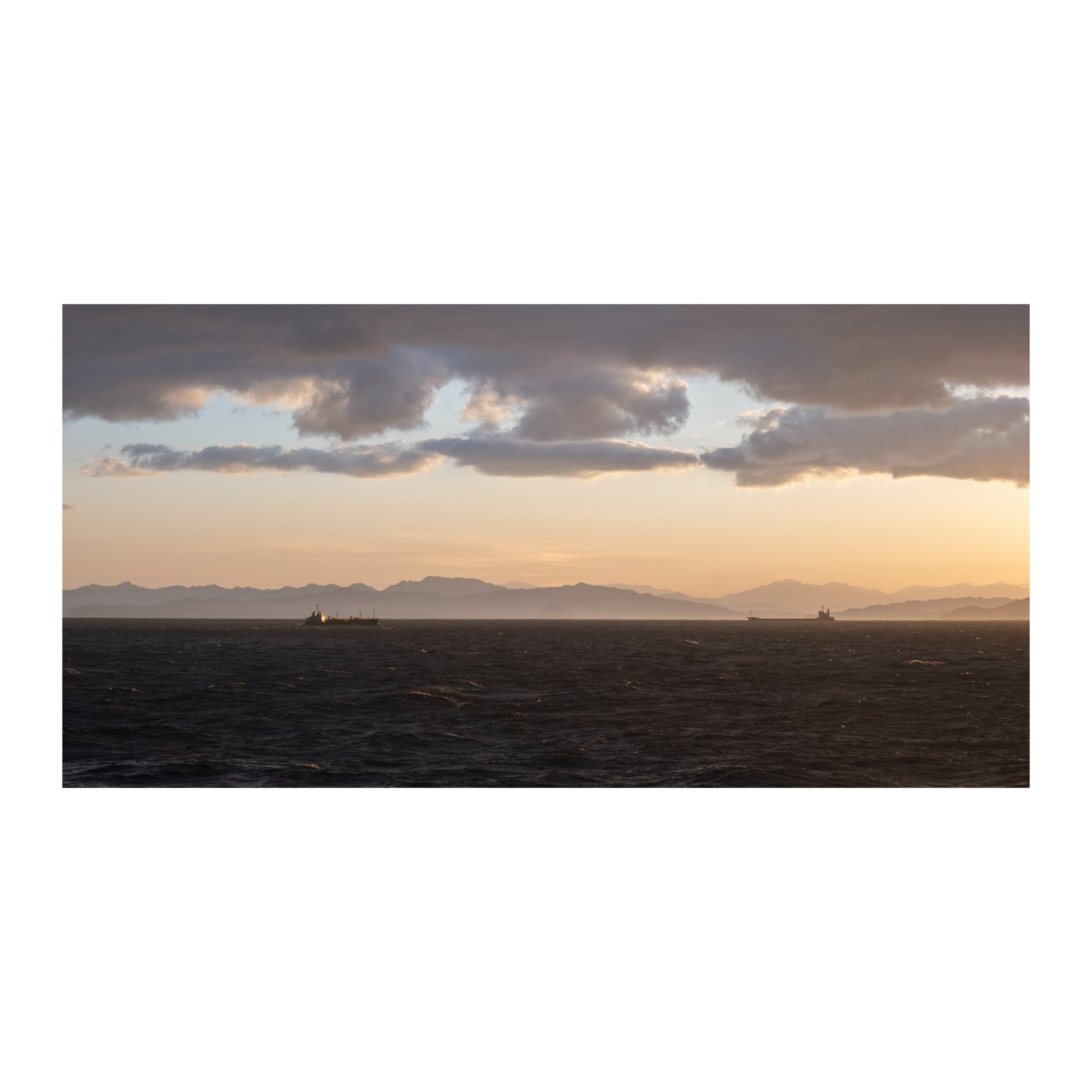 Whitagram-Image.jpeg