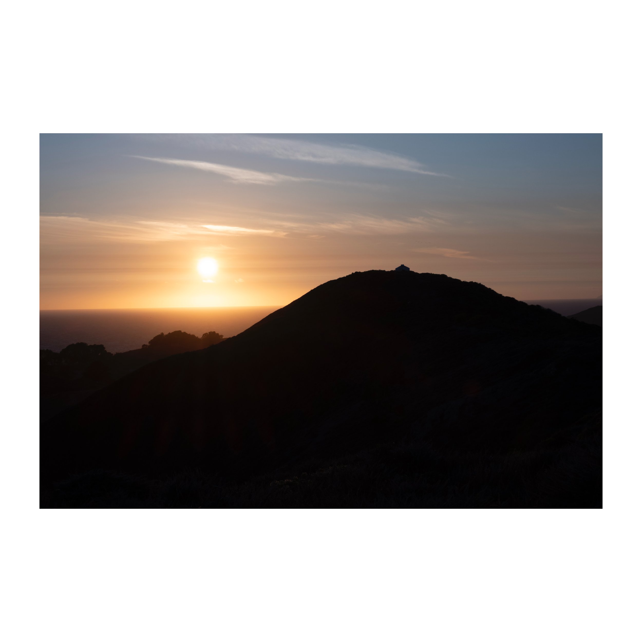 Whitagram-Image.jpeg