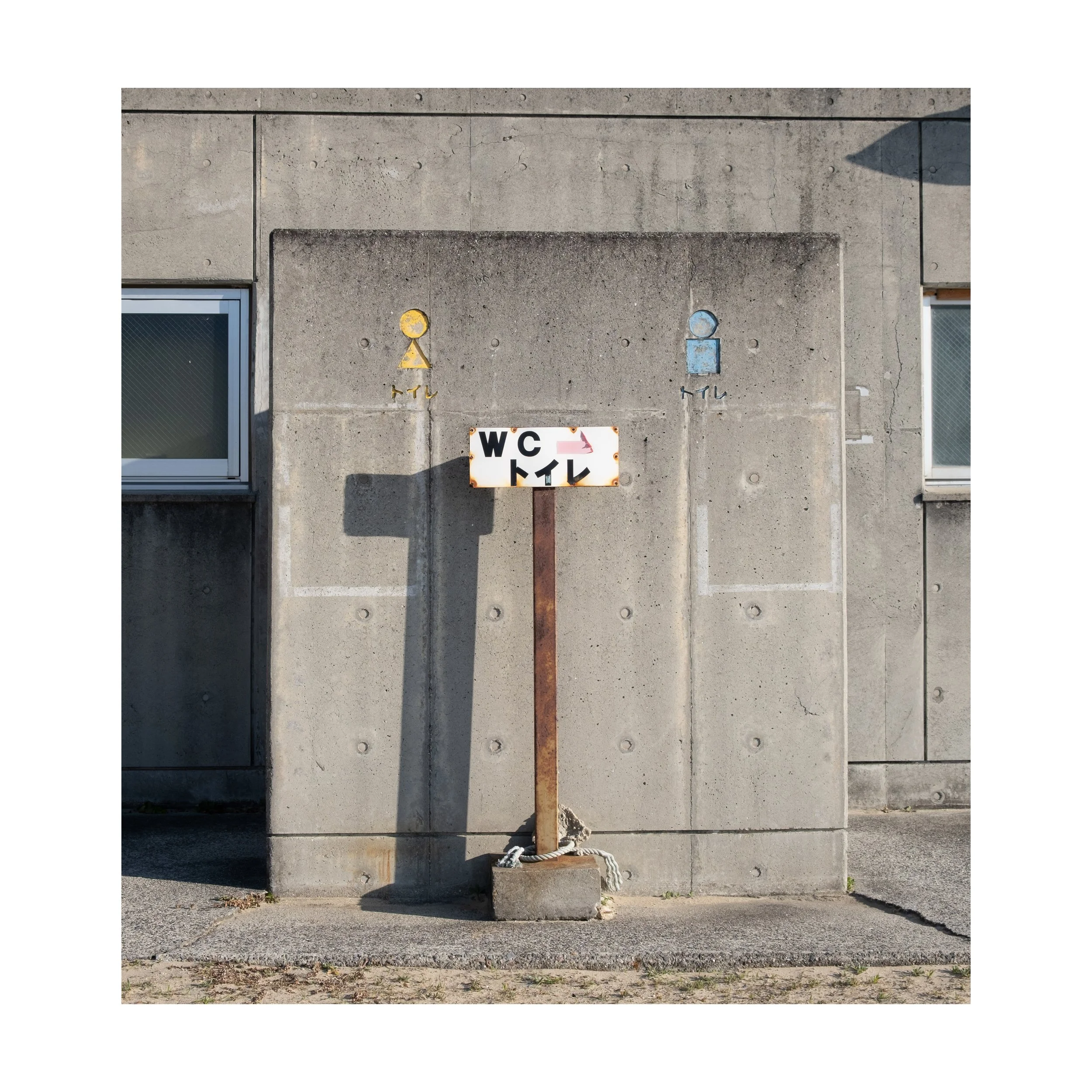 Whitagram-Image.jpeg