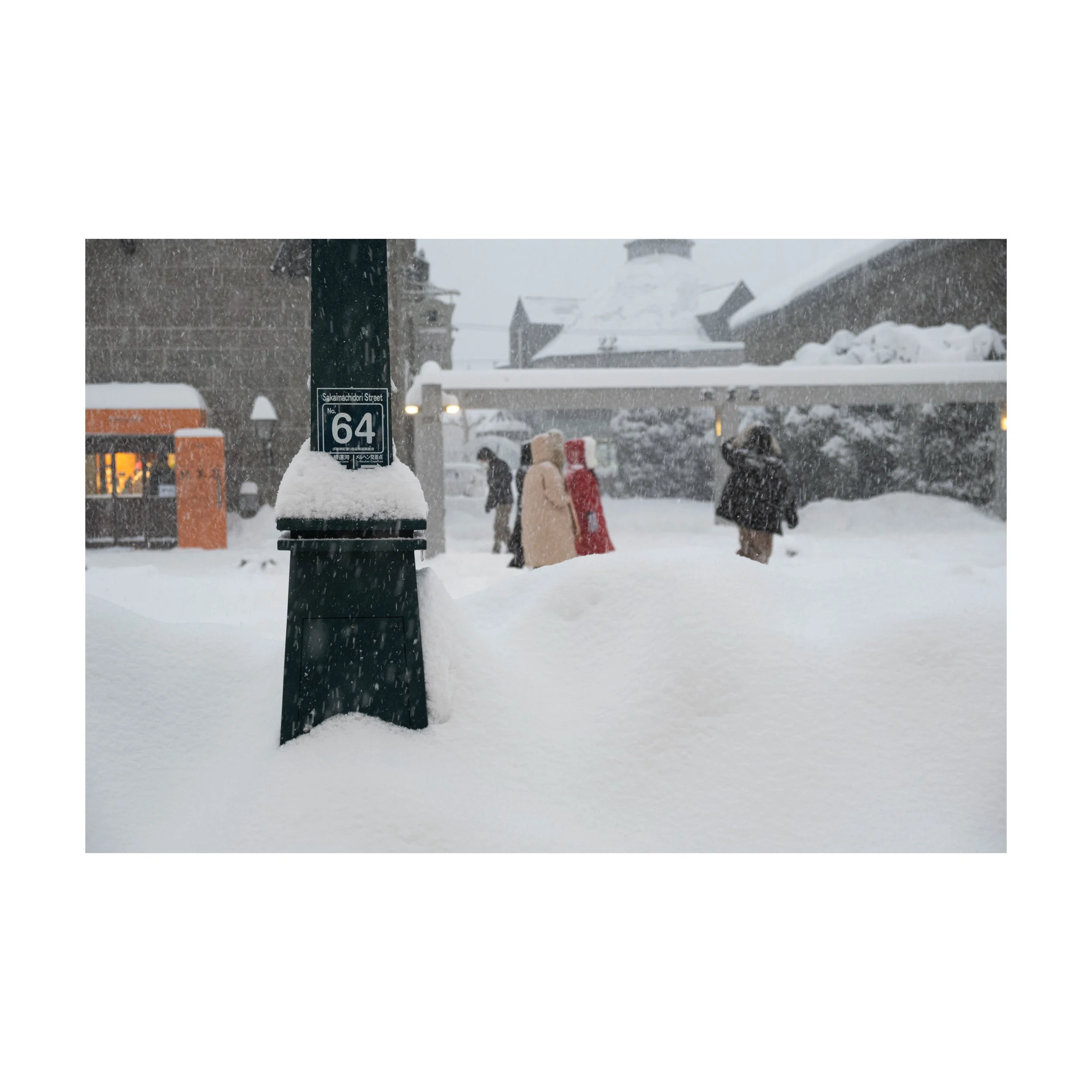 Whitagram-Image.jpeg