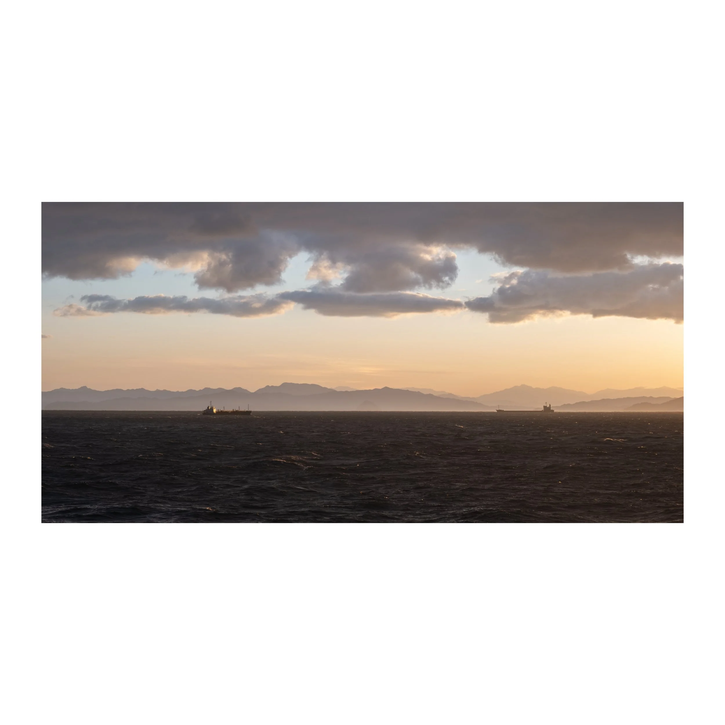 Whitagram-Image.jpeg