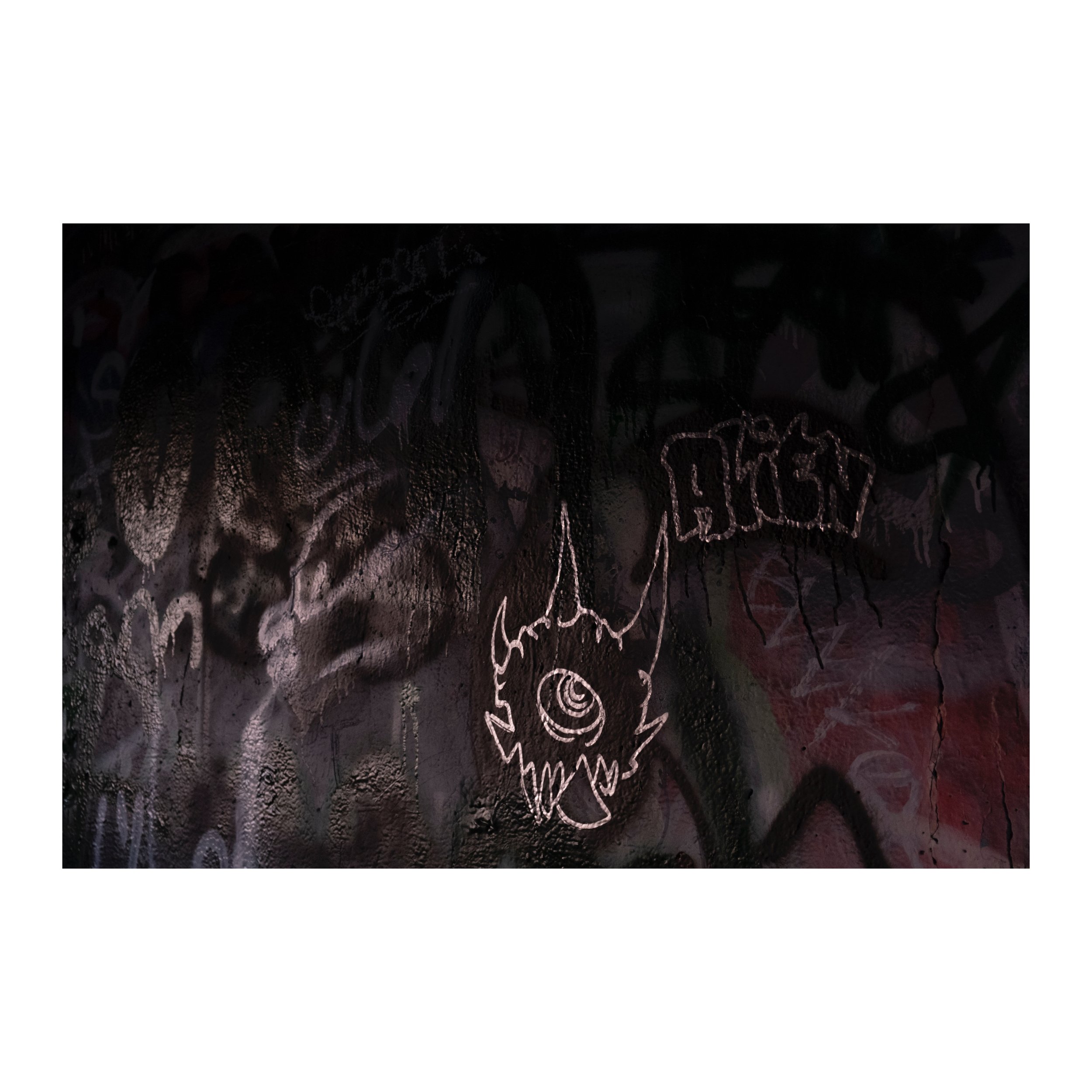 Whitagram-Image.jpeg