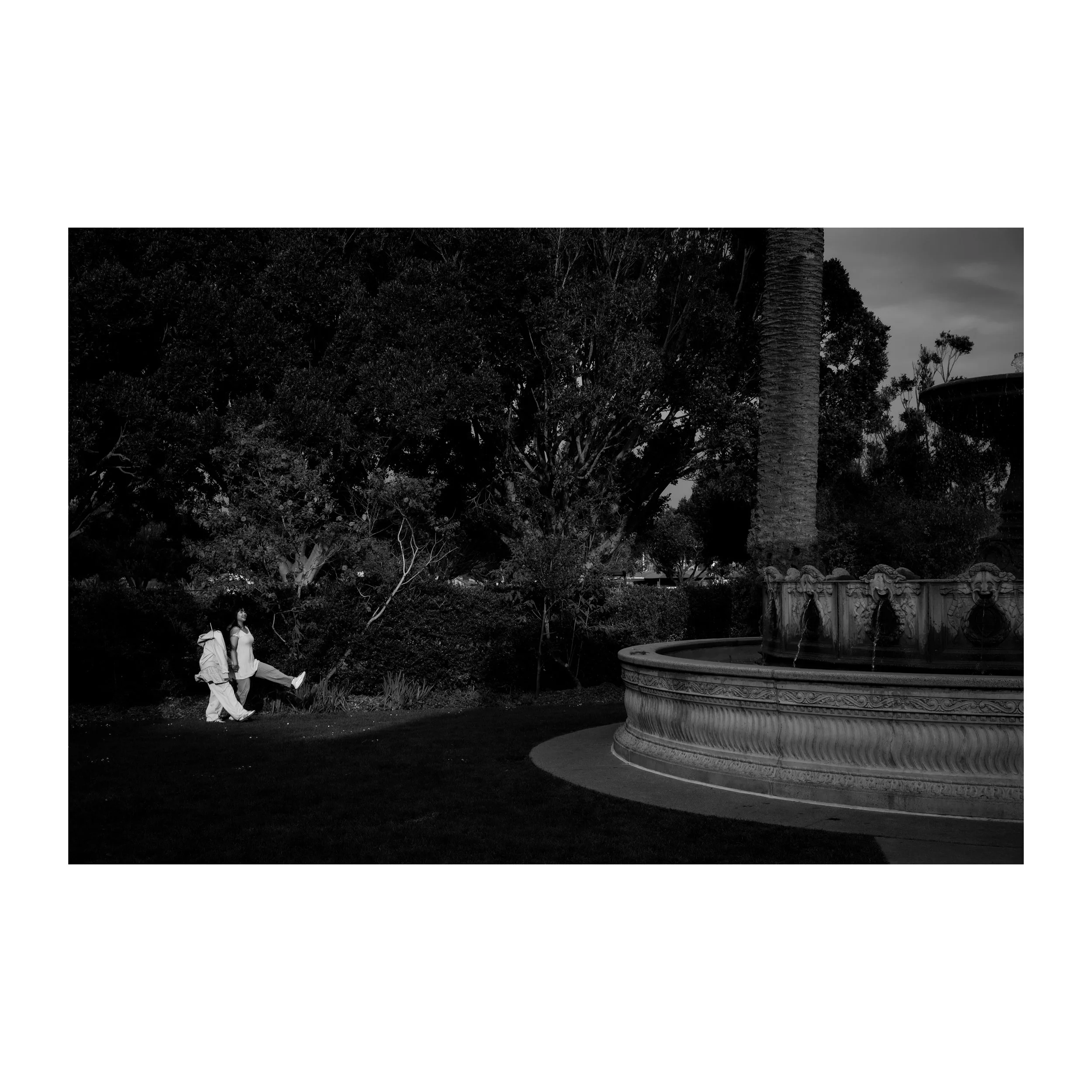 Whitagram-Image.jpeg