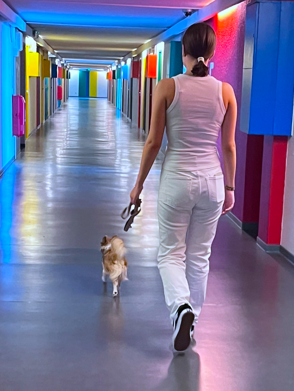 Une jeune femme de dos marche dans un couloir coloré avec un petit chien en laisse. Elle porte une tenue blanche et tient la laisse avec sa main droite. Le couloir est éclairé avec des lumières multicolores bleu rouge jaune vert.
