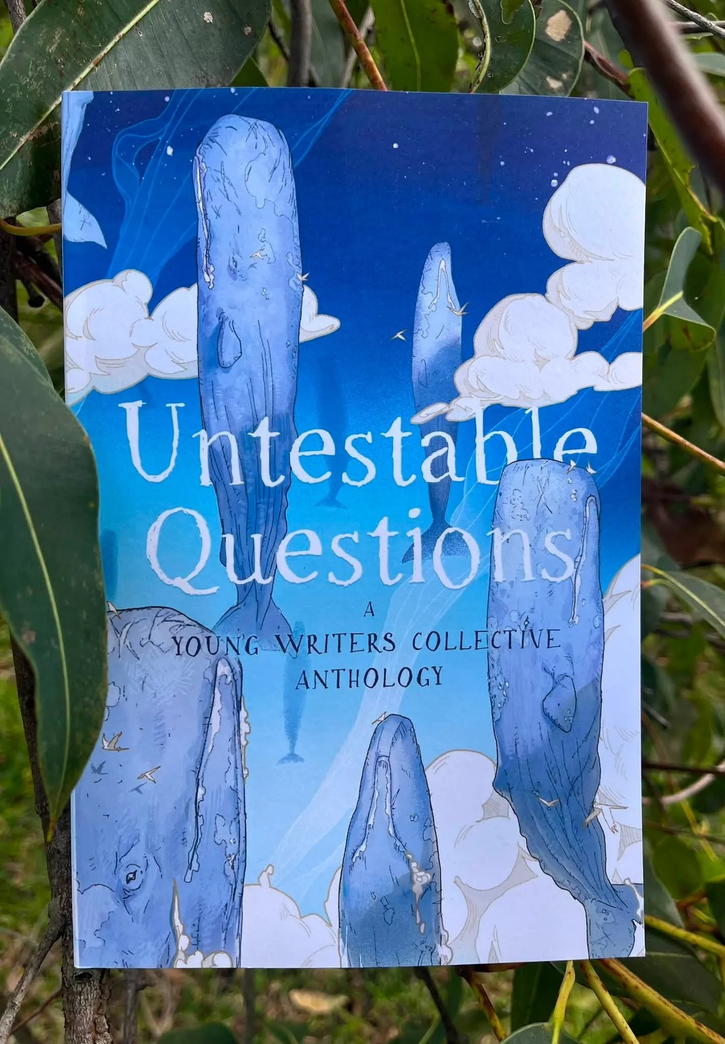 Untestable Questions