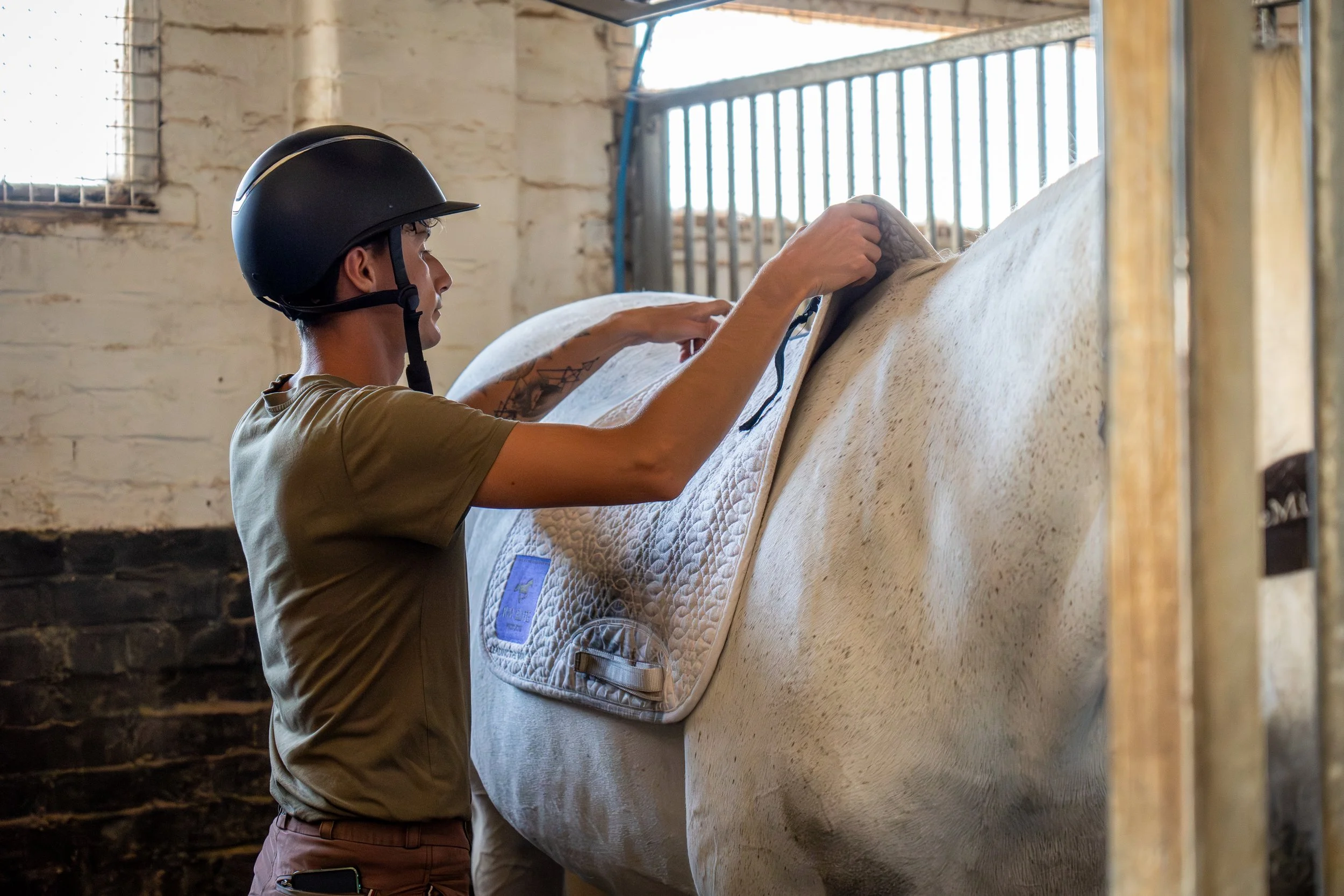 Billy Botting, Groom at Swiss Eventing, preparing a horse to be ridden.