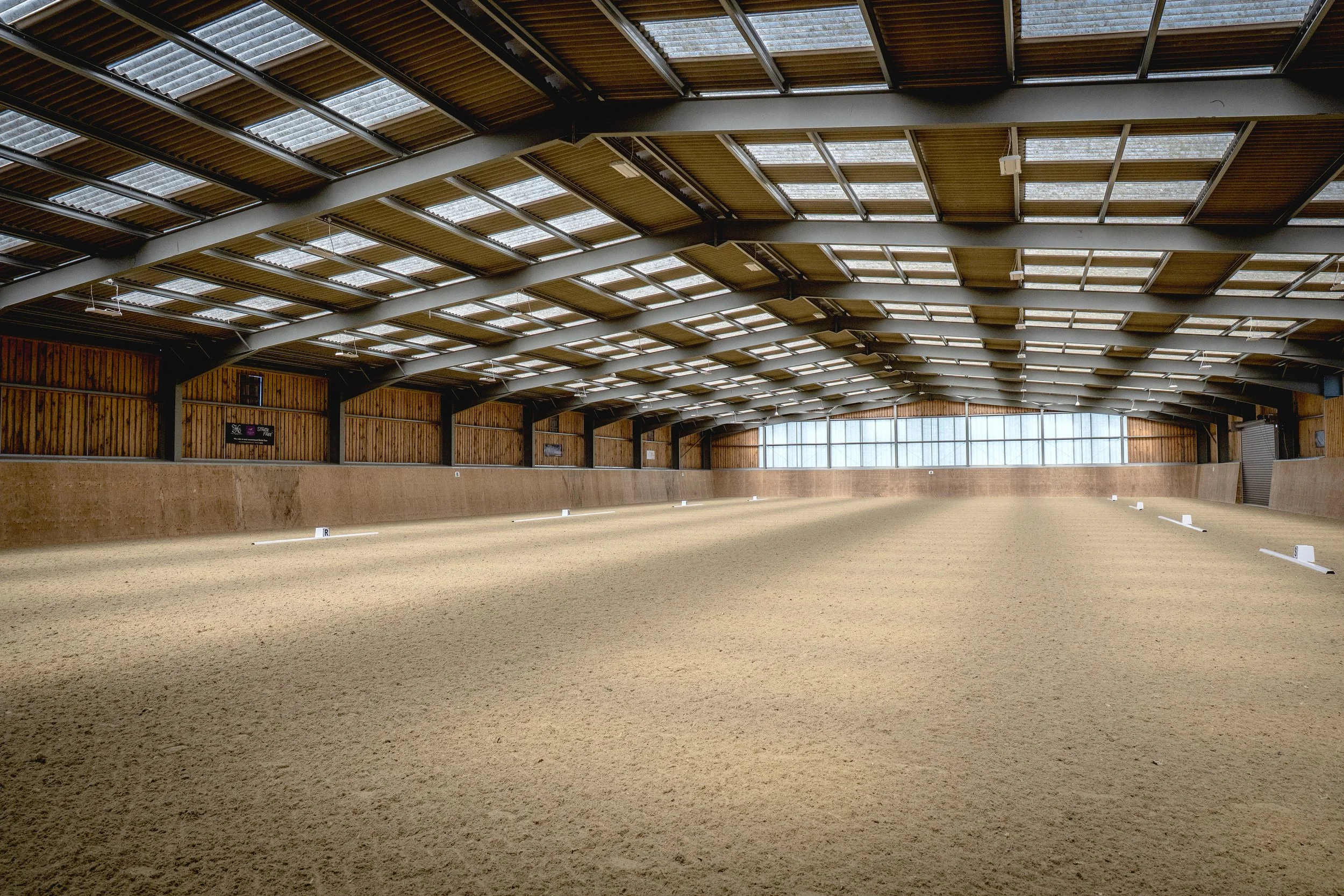 Indoor Menage at Swiss Eventing