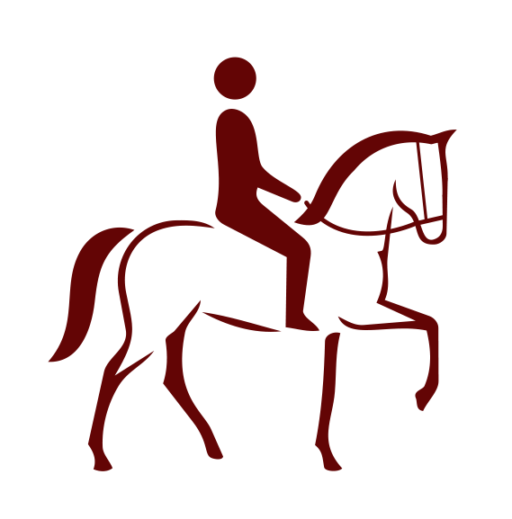 Silhouette of a person riding a horse with a saddle against a black background.