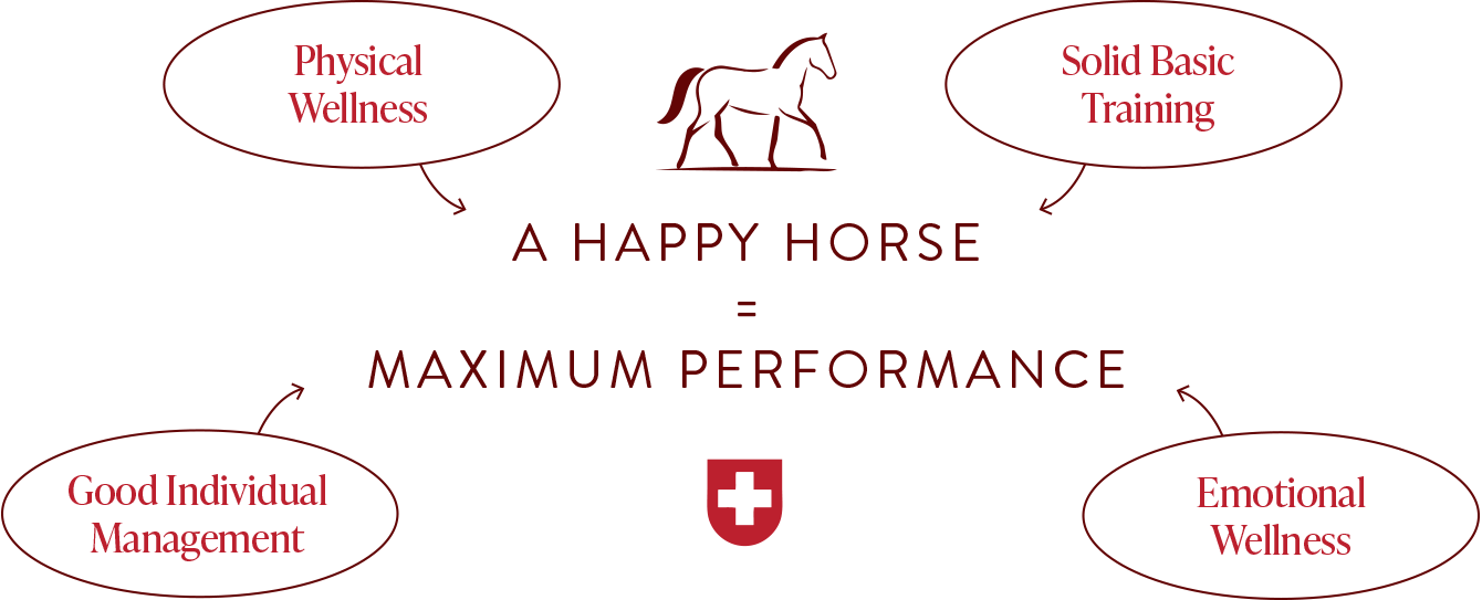 The Swiss Eventing ethos and philosophy as a simple schematic.