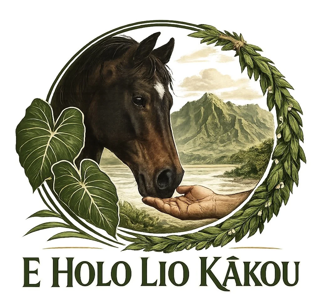 E Holo Lio Kākou